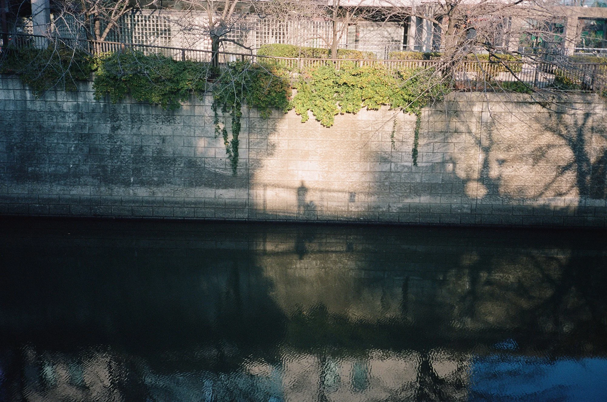 310515_0021 copy.jpg