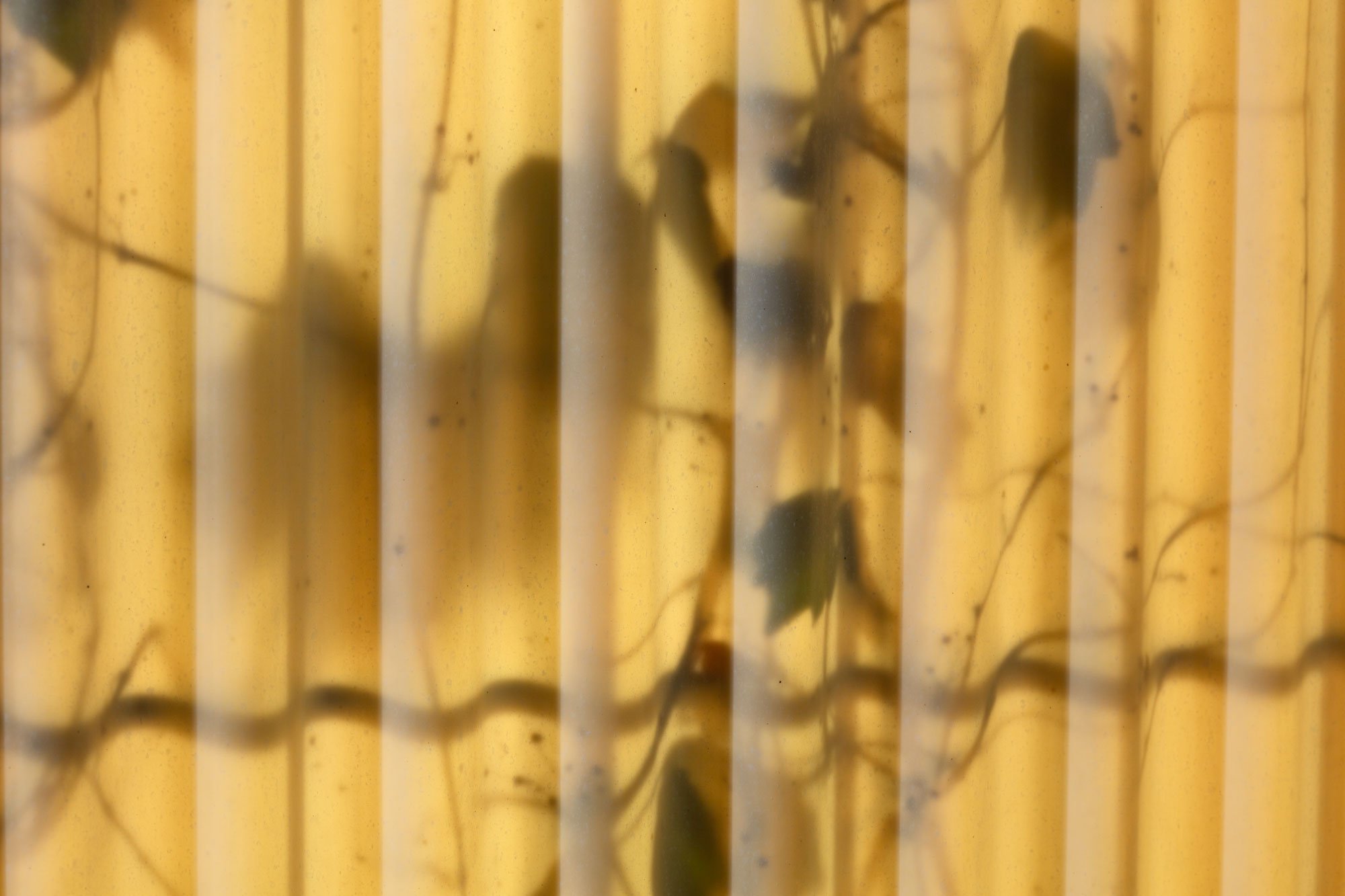 "Reality Slap", 2025