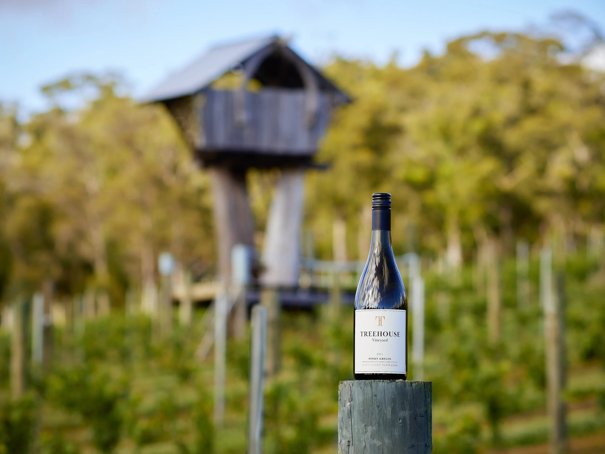 Treehouse Vineyard Tasmanian Wine