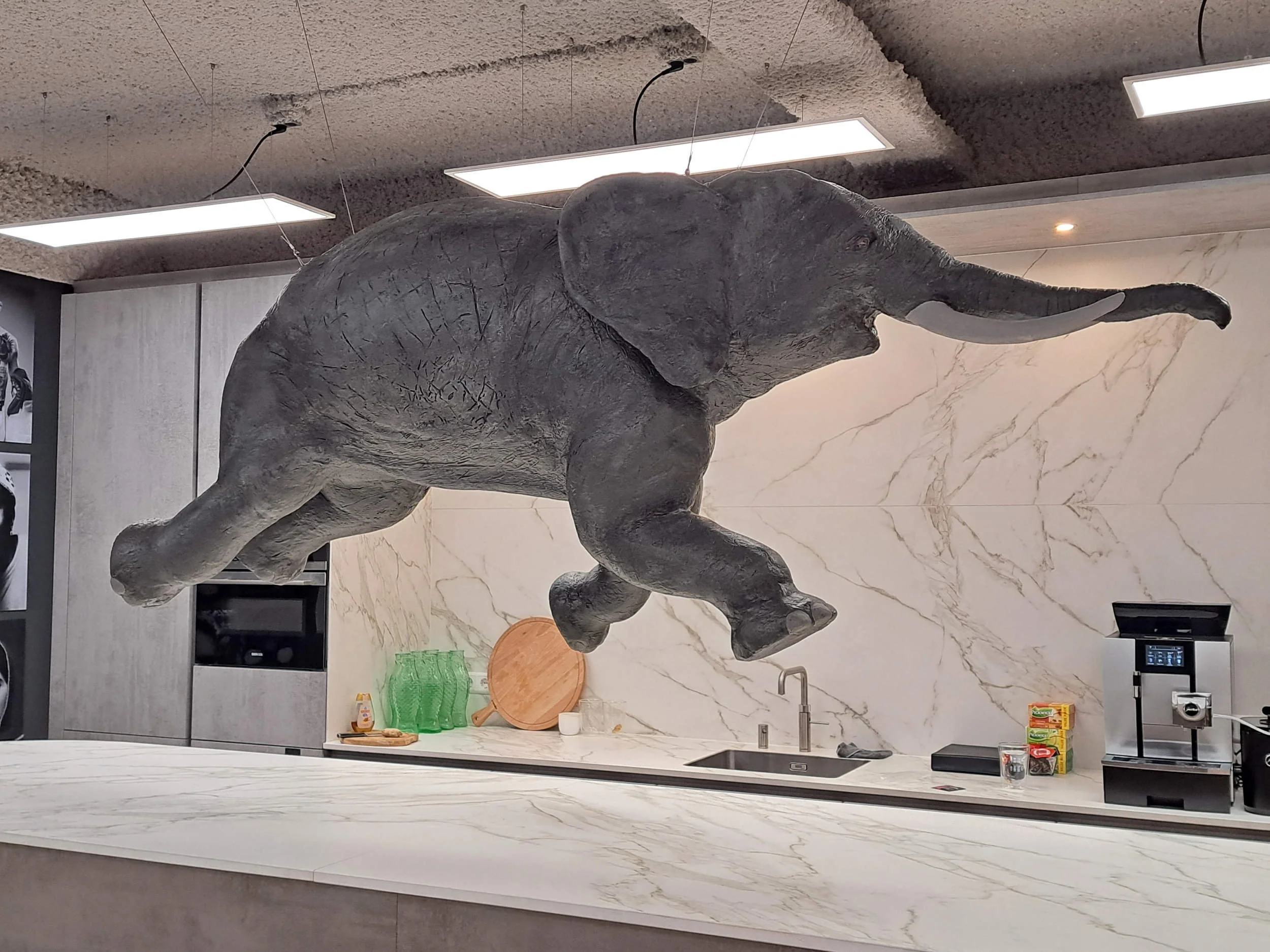 Olifant op het GITP hoofdkantoor