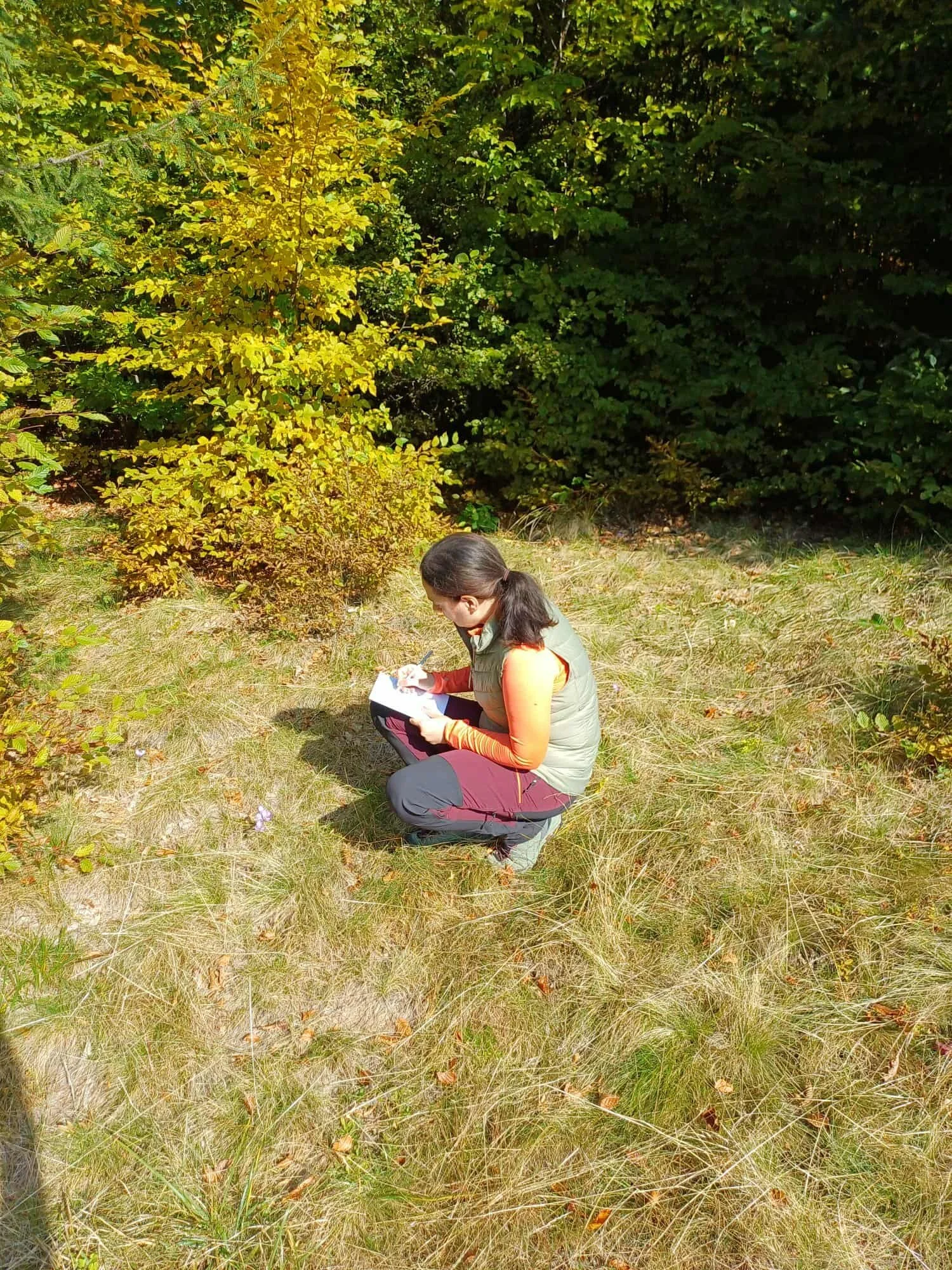 Outdoor sketching