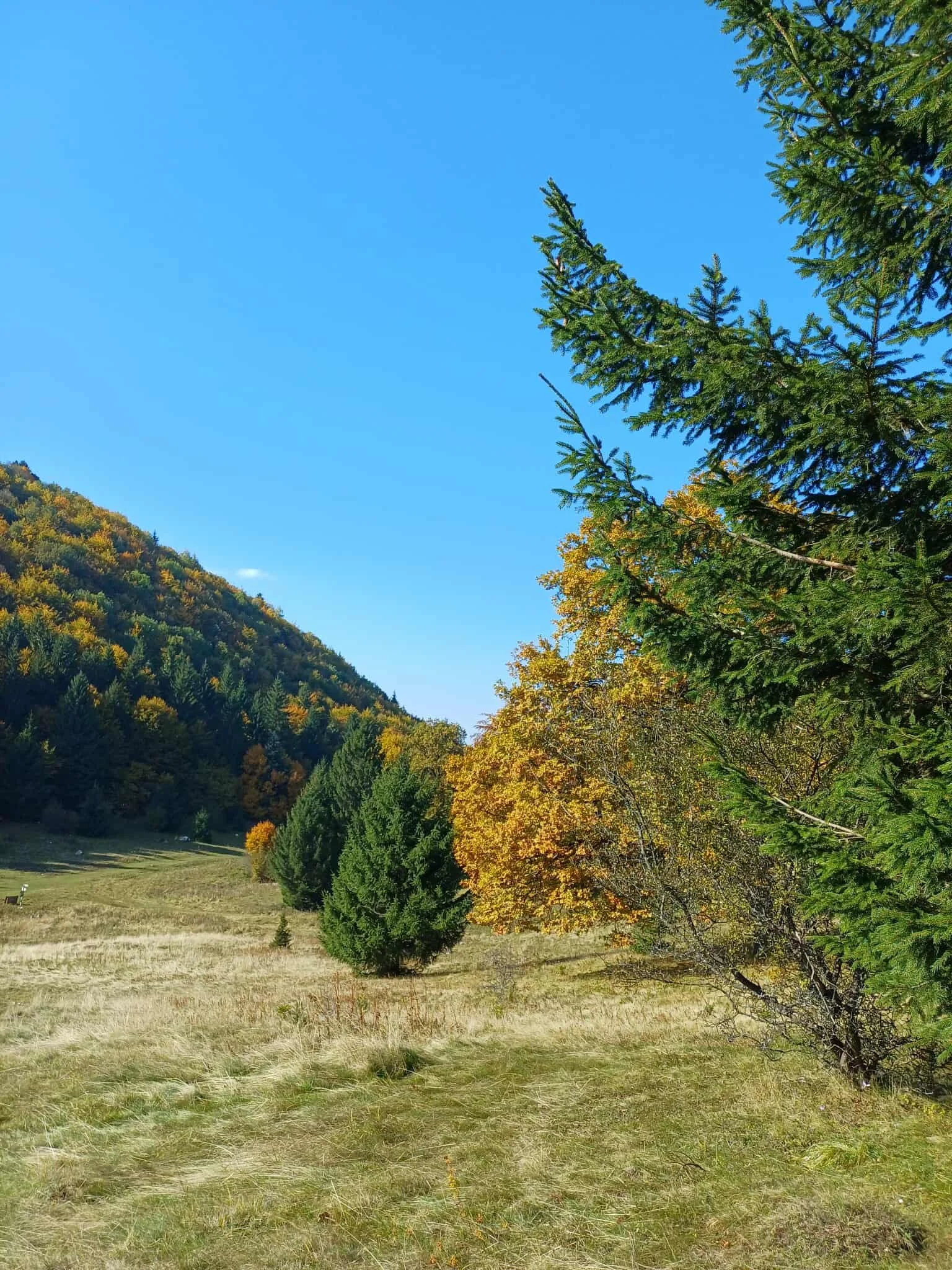 Fall in Transylvania