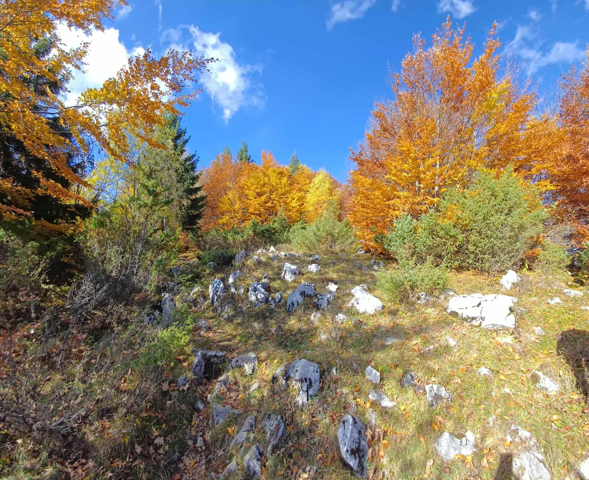 Fall