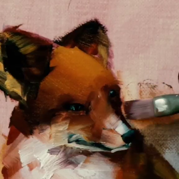 The Fox that found me 