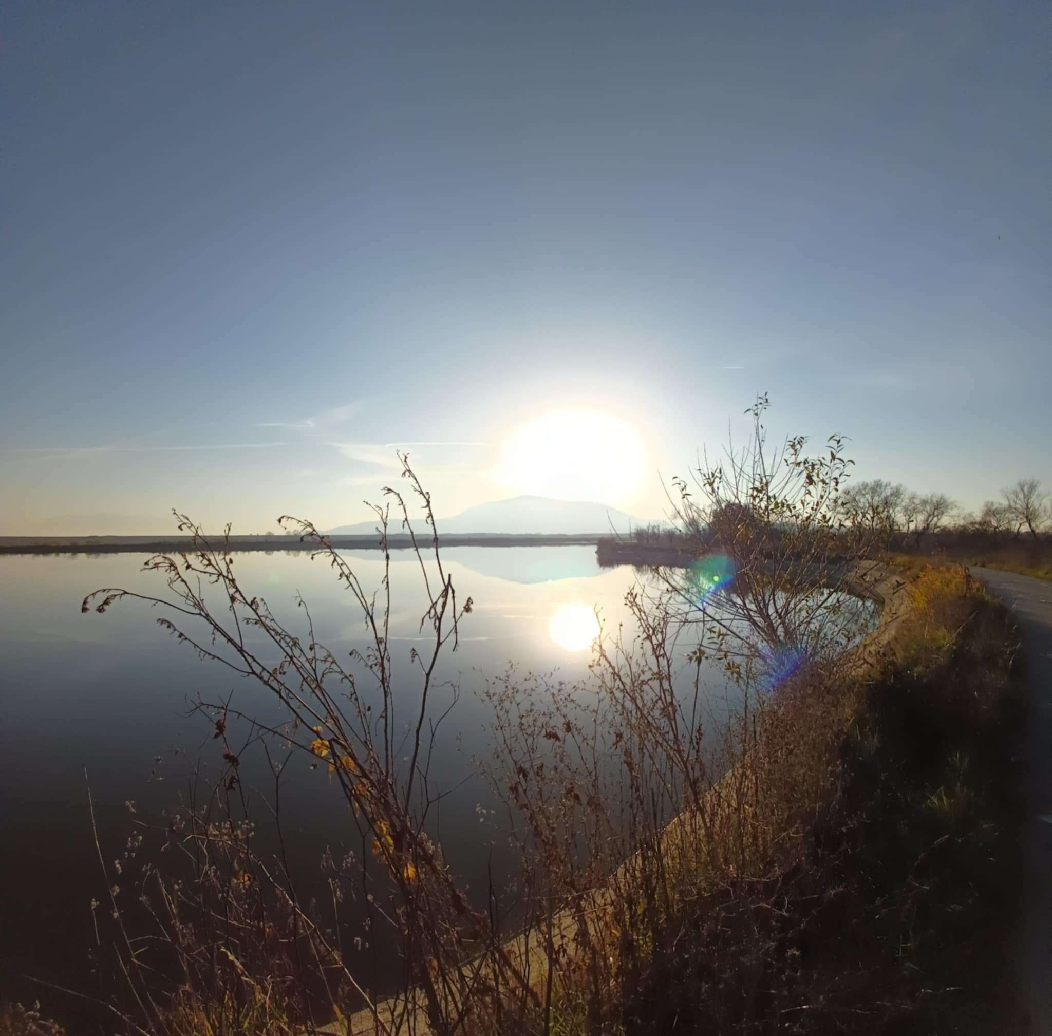 At the Lake