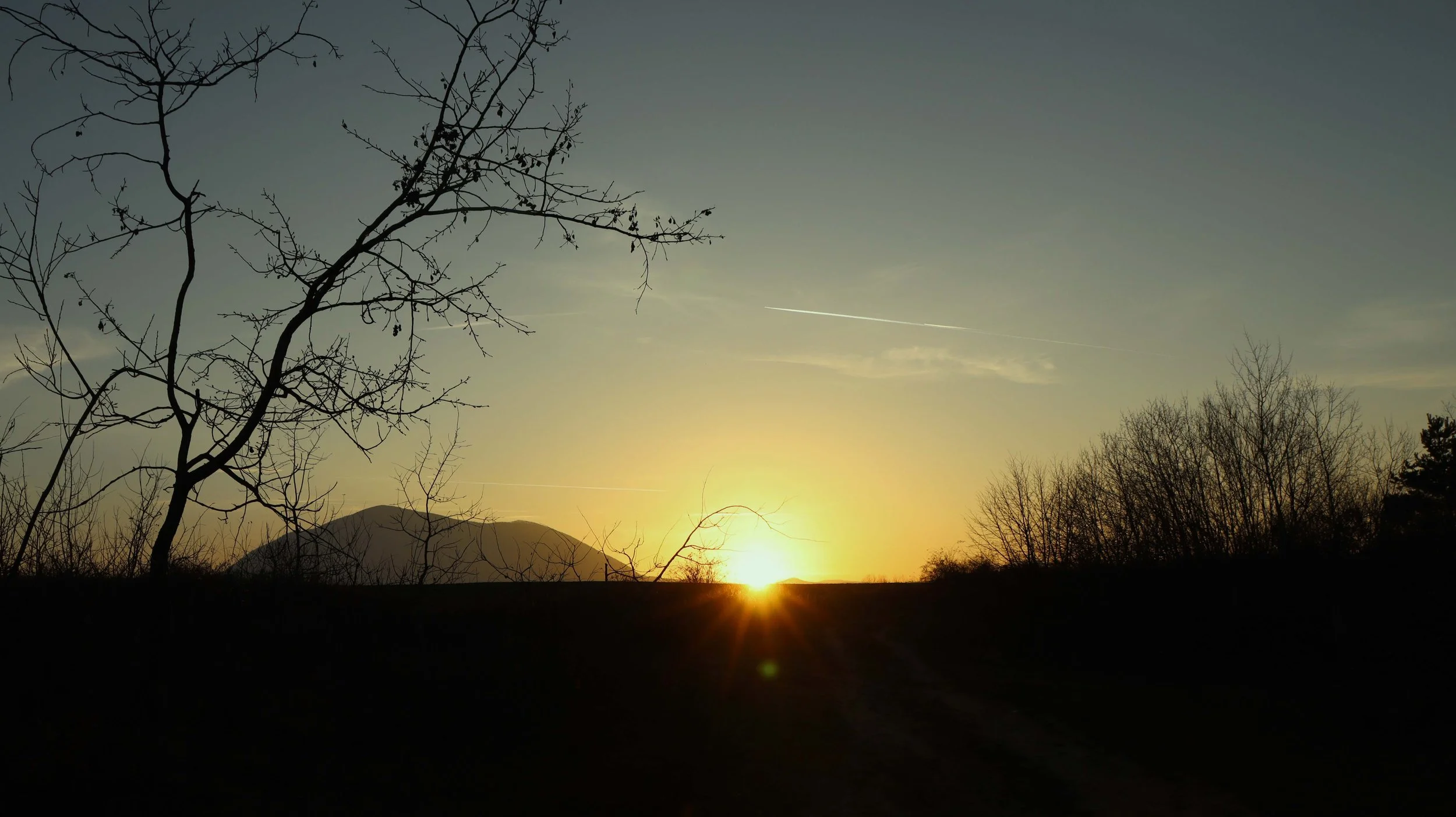 Carpathians Delta