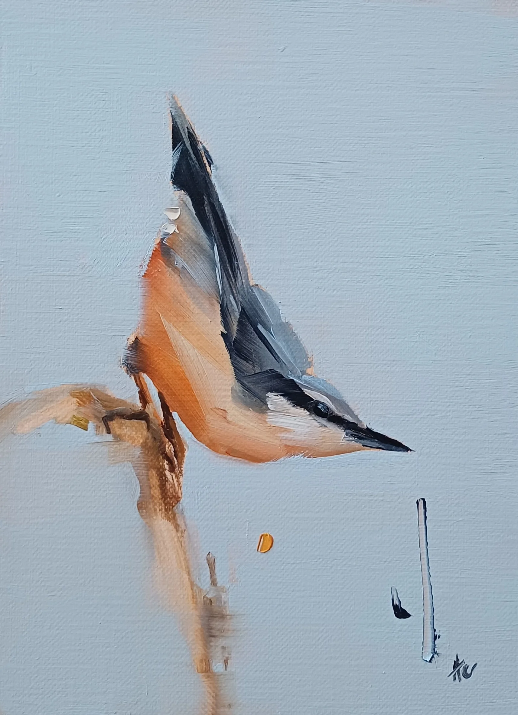 Fearless descent by Andreea Cataros