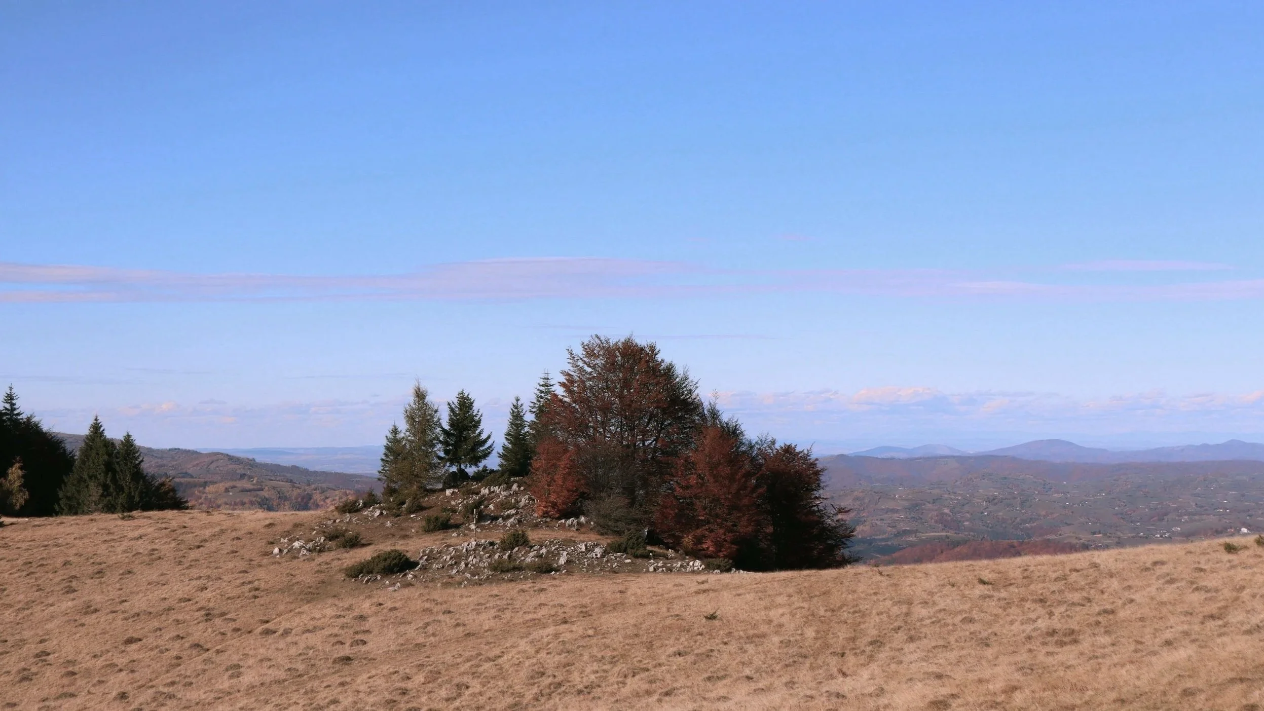 Artist in Transylvania