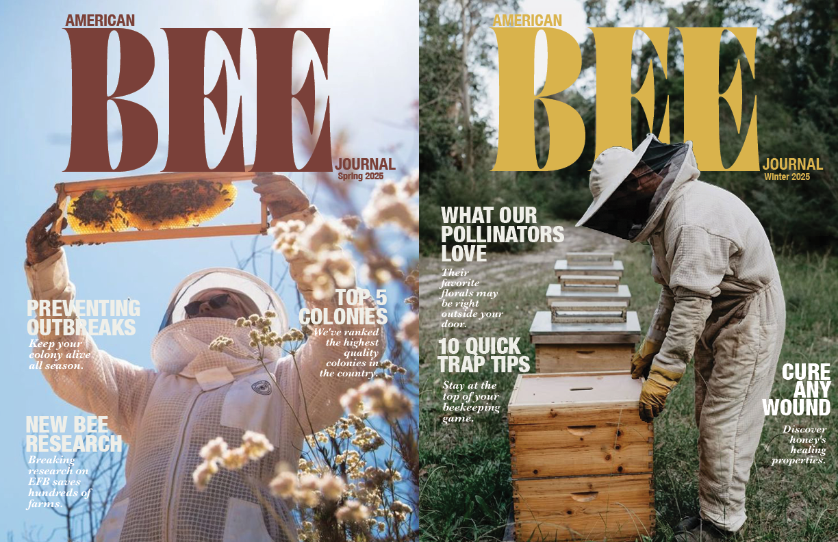 FinalProject_TGBeeJournal.png