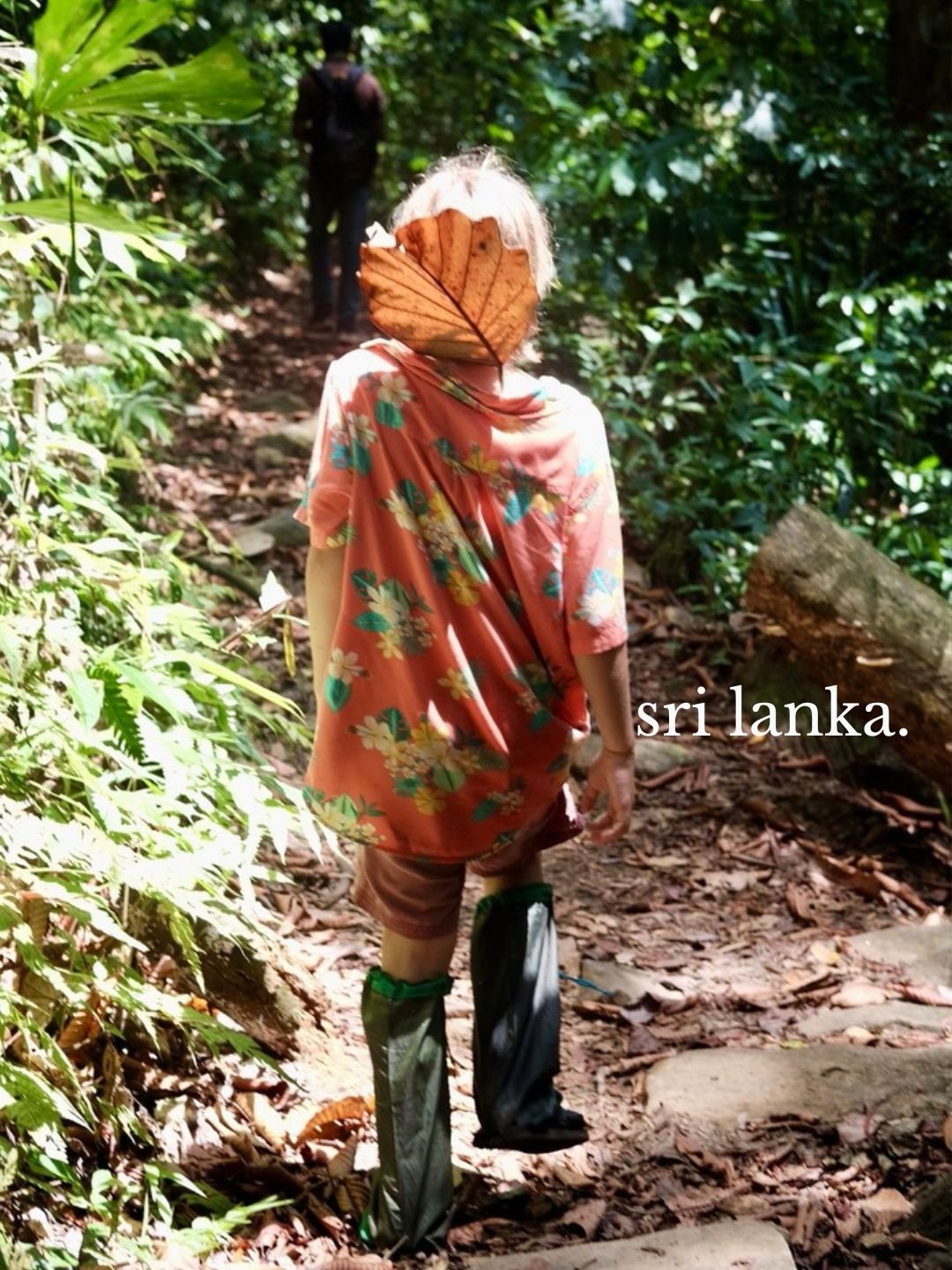 From the Artist&rsquo;s Cottage, we drove two hours along one-laned tea plantation backroads to one of the oldest rainforests in the world.

Two adults. Two kids. Two national parks. Two very different experiences.

There were leeches (everyone wears