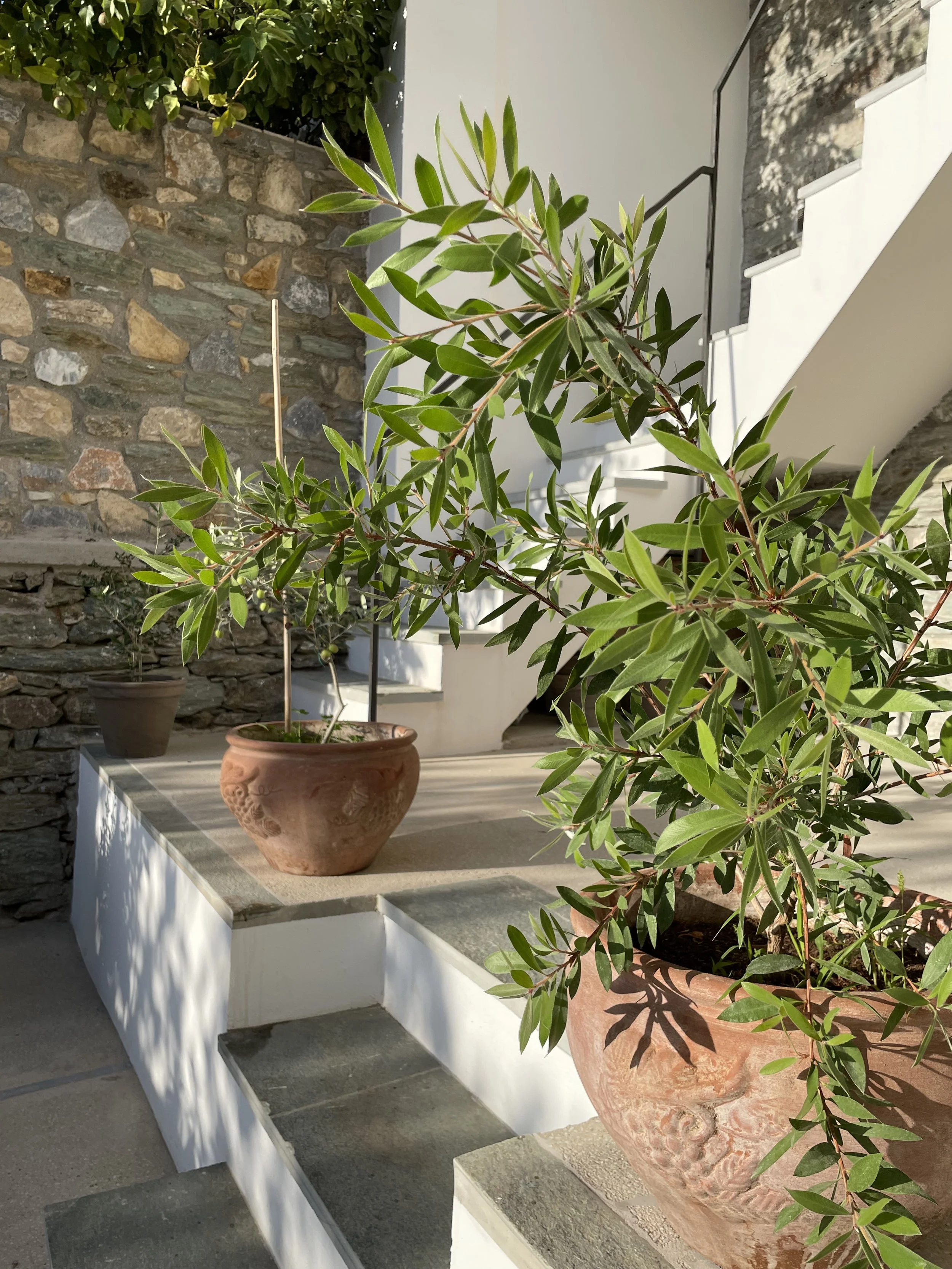 2022-11-05 08.23.28.jpg