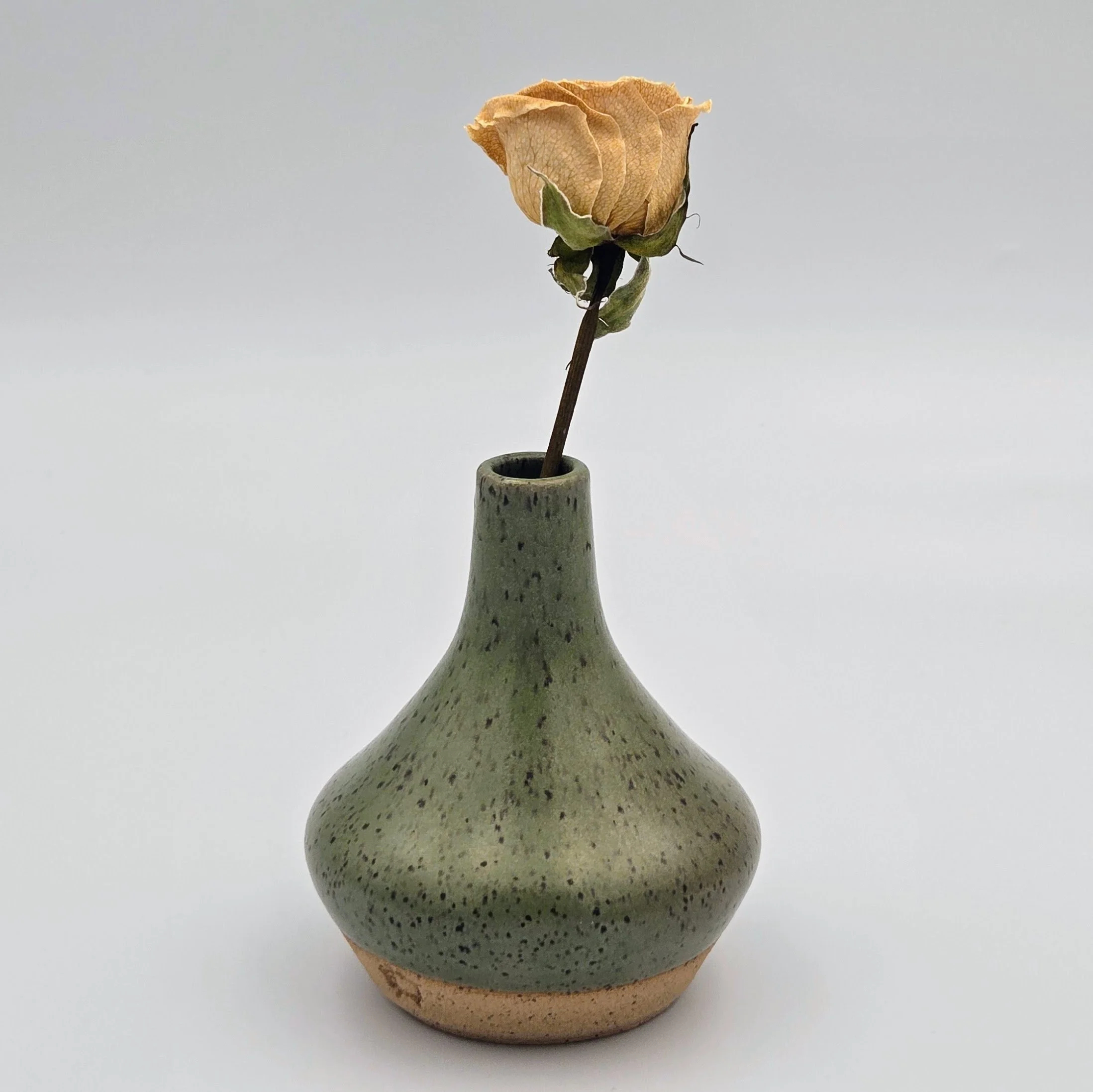 slope-moss-bud.jpg