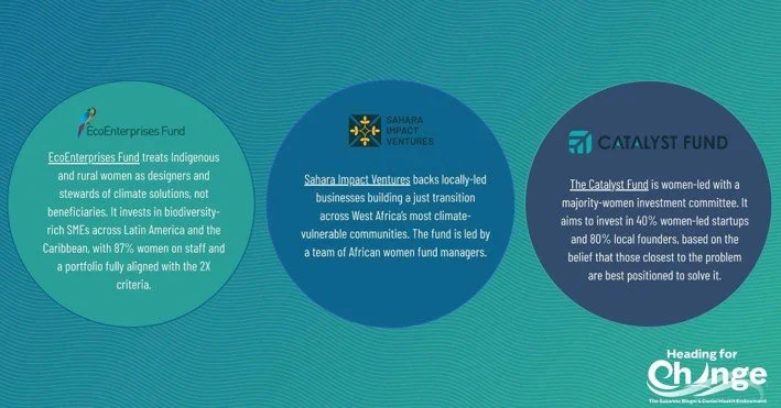 Investing and beyond: How Heading for Change is advancing the climate and gender finance field