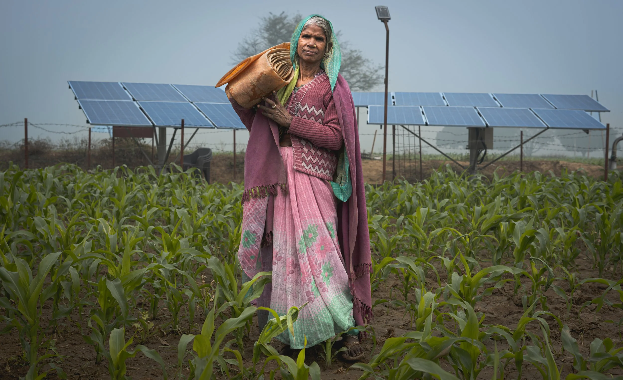 Making Gender a Value Driver in Clean Energy and Agriculture