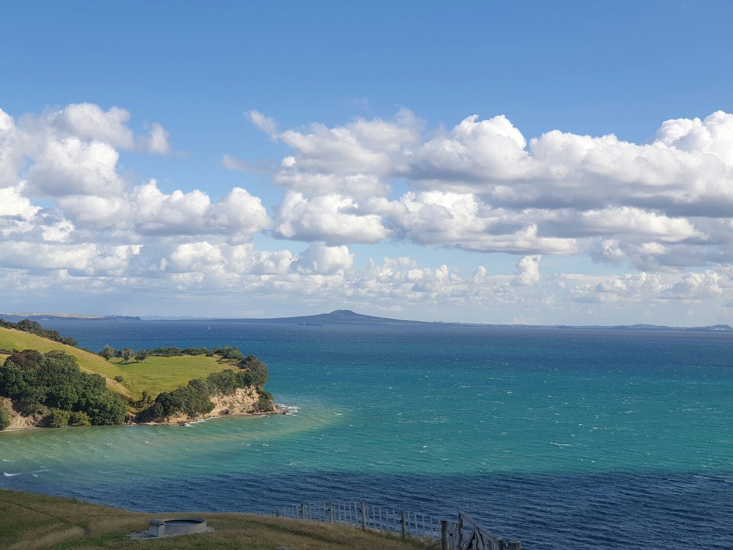 auckland-nz-adhd-coach-training-13.jpg