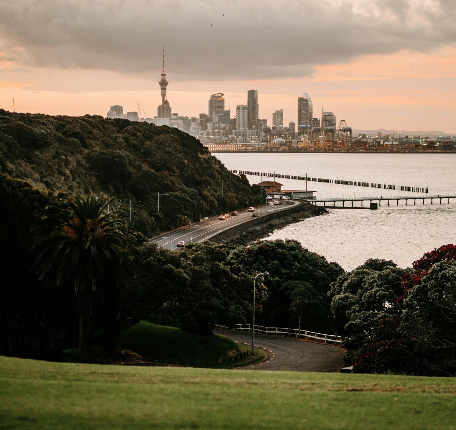 auckland-nz-adhd-coach-training-12.jpg