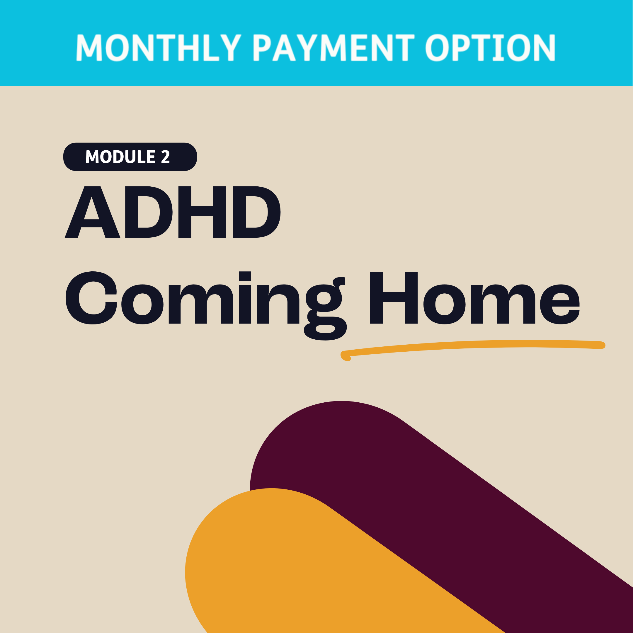 Module 2: ADHD Coming Home (ONLINE) (PAYMENT PLAN)
