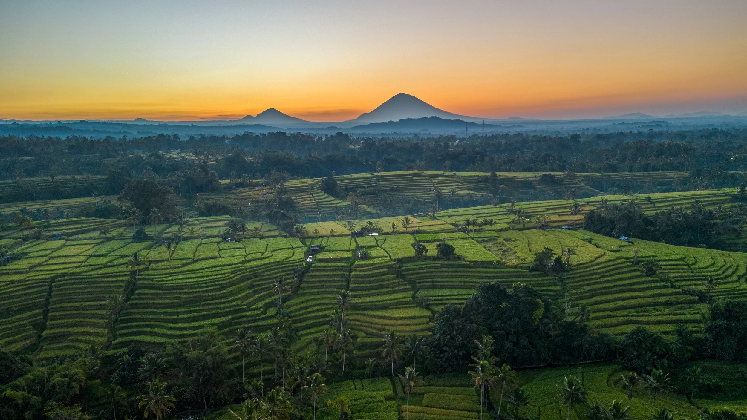 Jatiluwih%2C+Tabanan.jpg