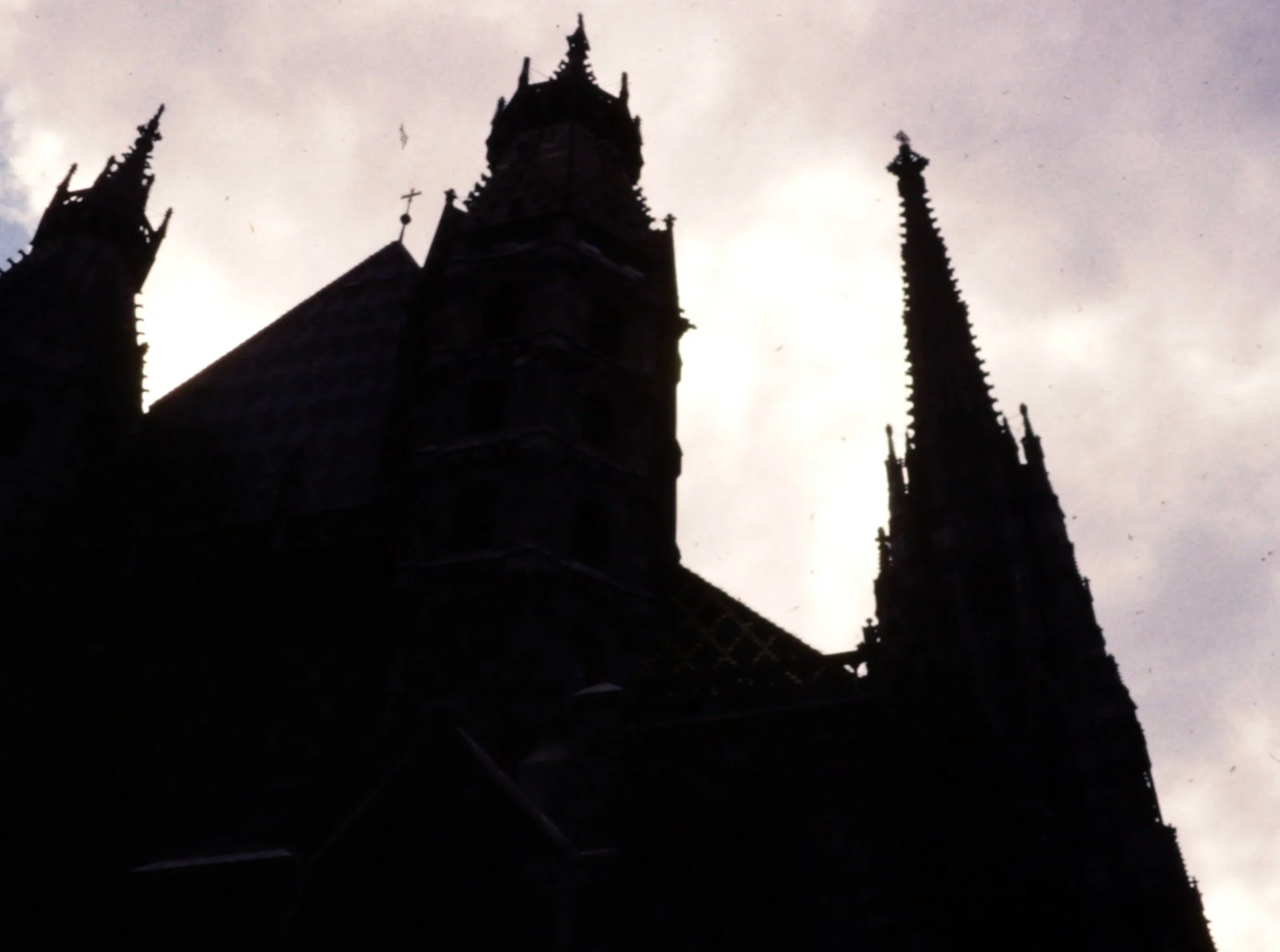 Wilson-slides-1715.jpg