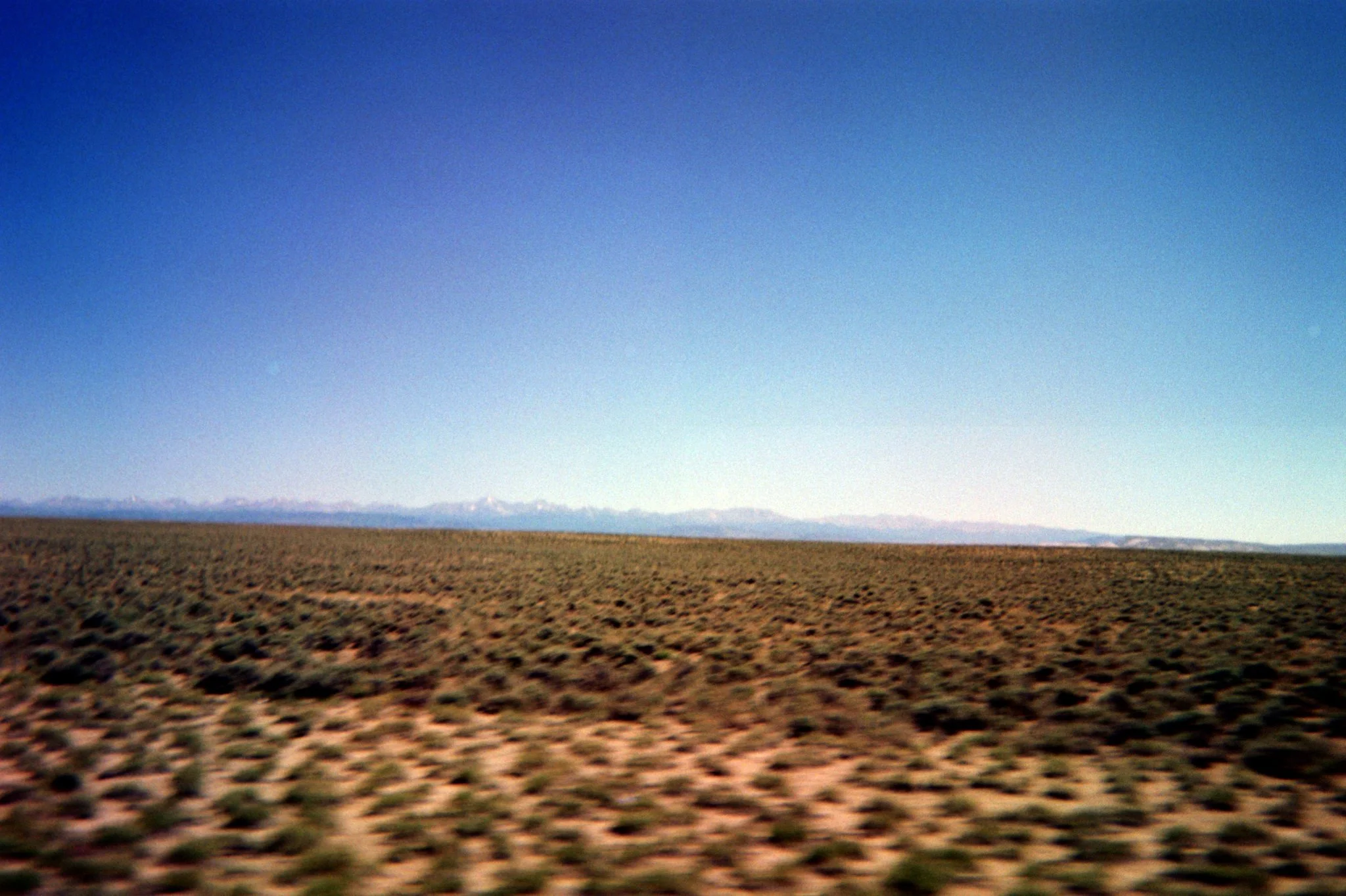 Asset0025.jpg