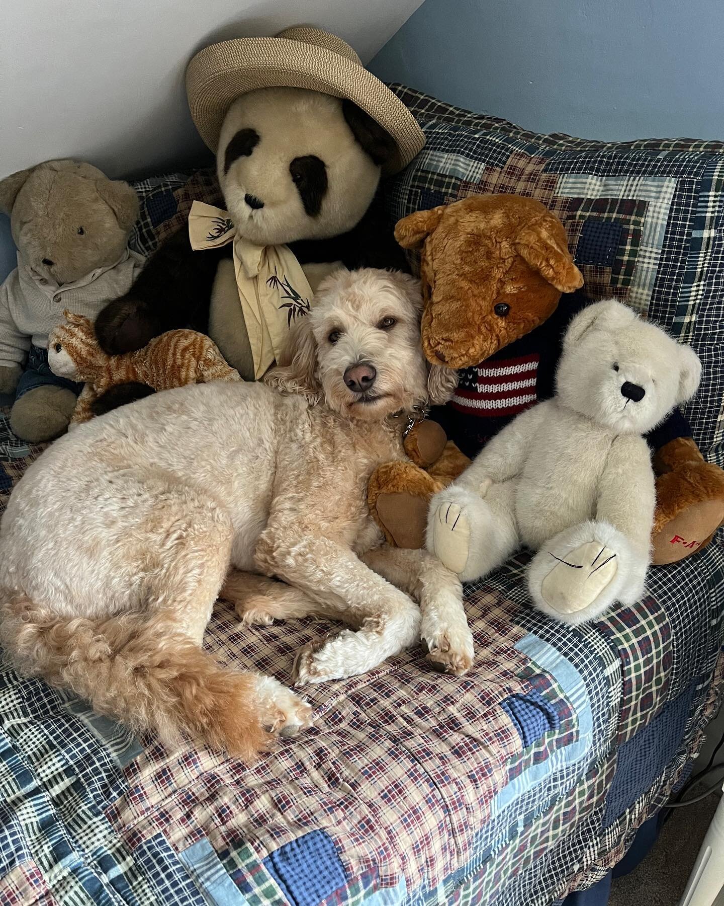 I&rsquo;m playing hide and seek with my Dad &hellip;. Think he&rsquo;ll find me ??