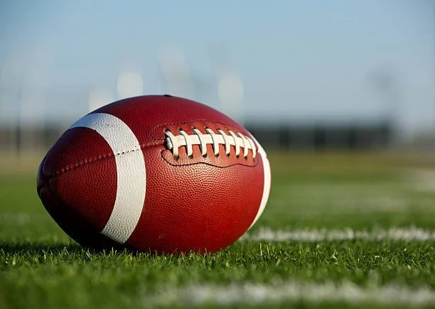 Appling County (Georgia) football forced to forfeit all wins from 2024 season&nbsp;