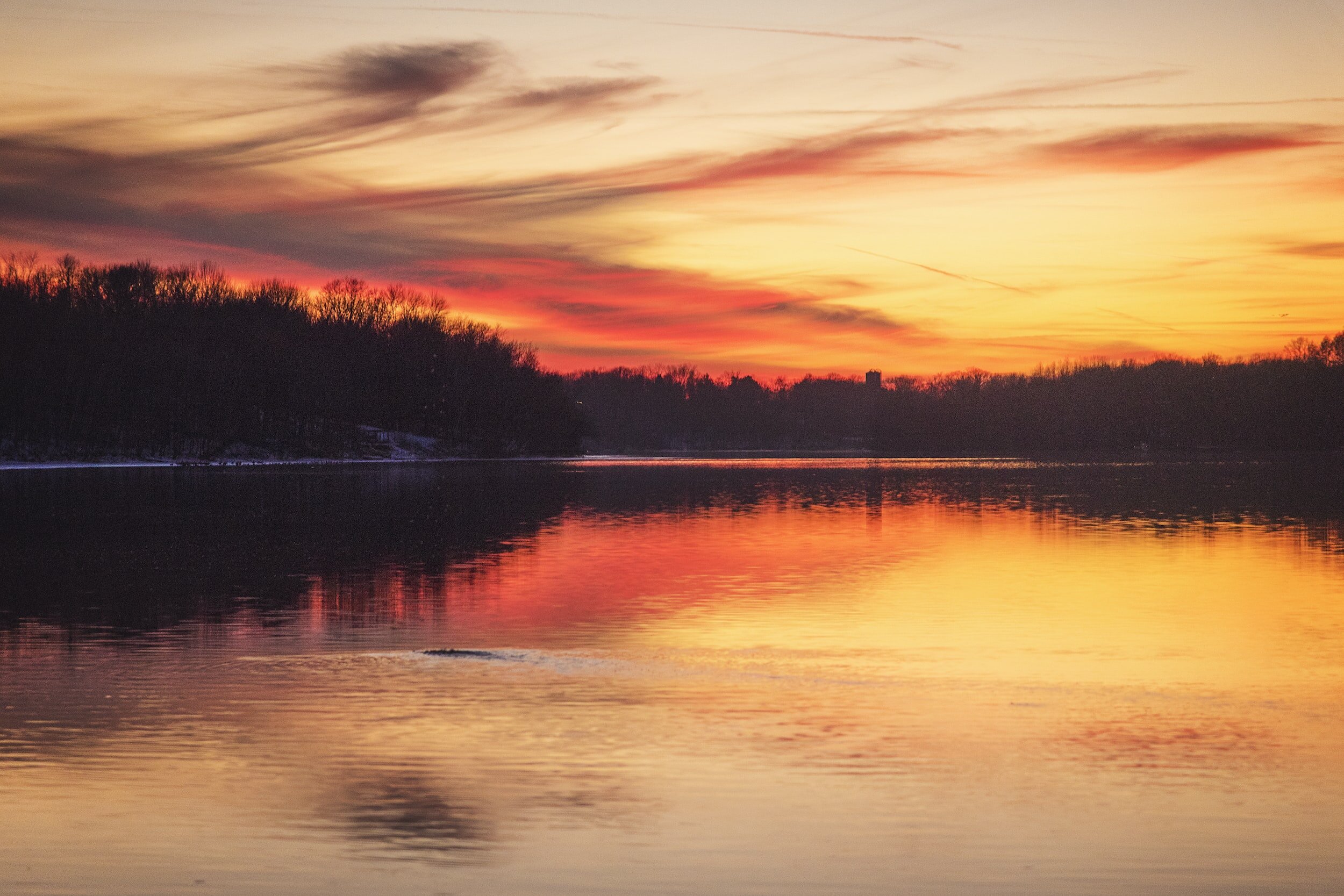 The Illusion of Separation: Embracing Oneness through the Witness in Meditation
