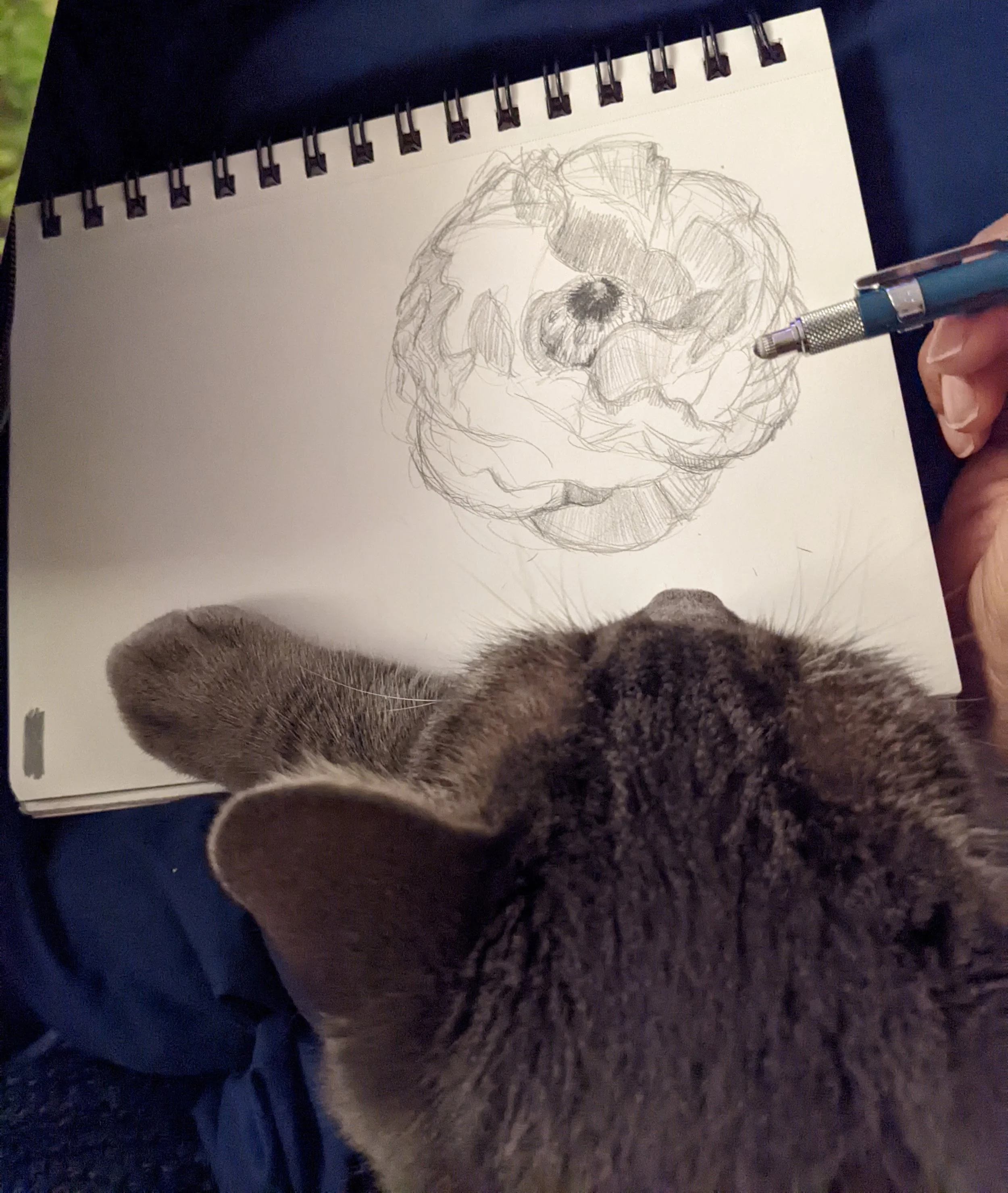 working conditions.jpg