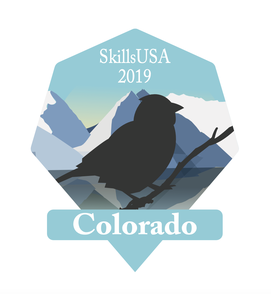 1st Place Skills USA Pin 