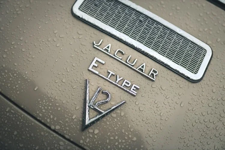 Aufnahme des Heckbereichs eines beigefarbenen Jaguar E-Type mit Wassertröpfchen, Emblemen und Lüftungsschlitz.