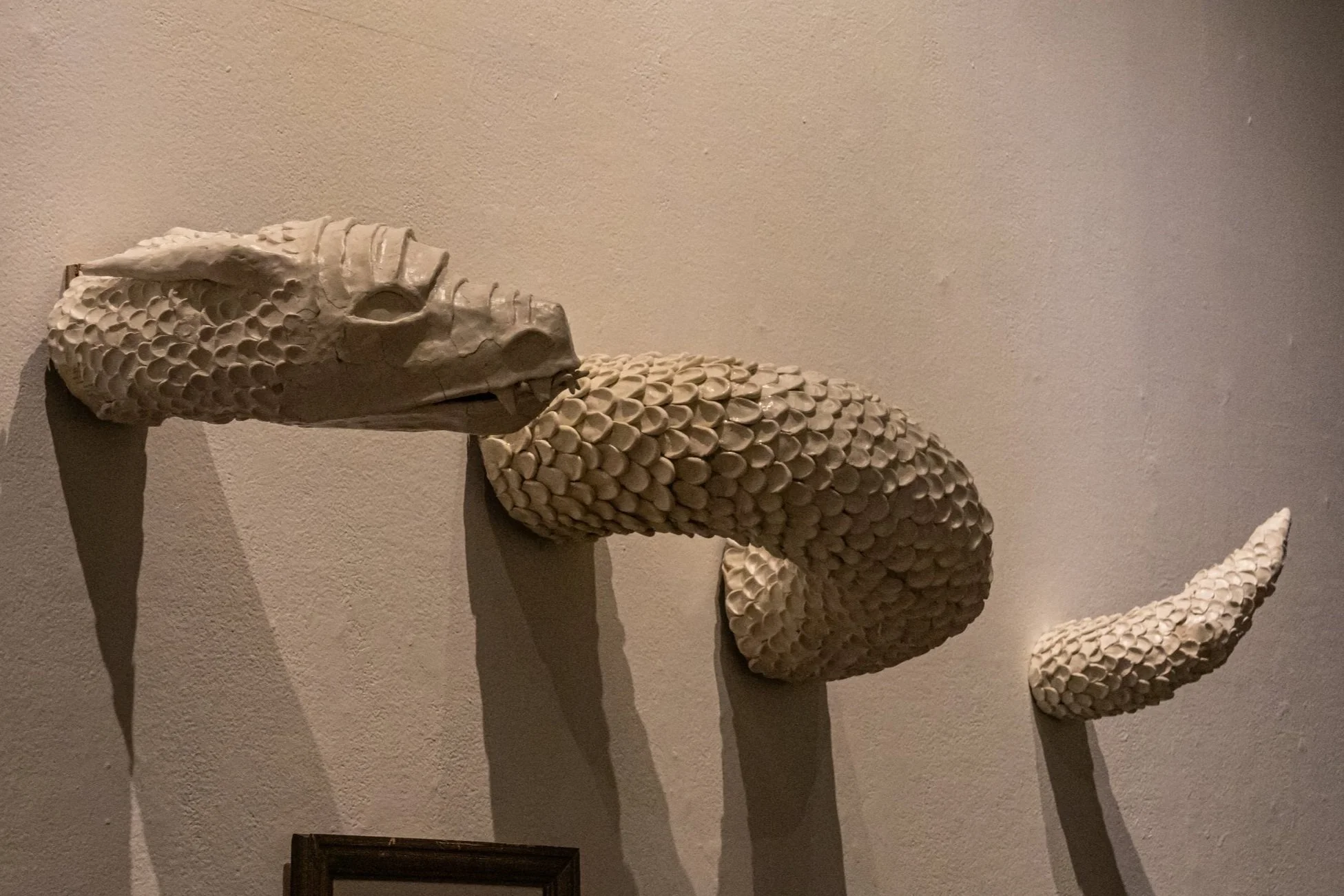 Snare Full Photo.jpg