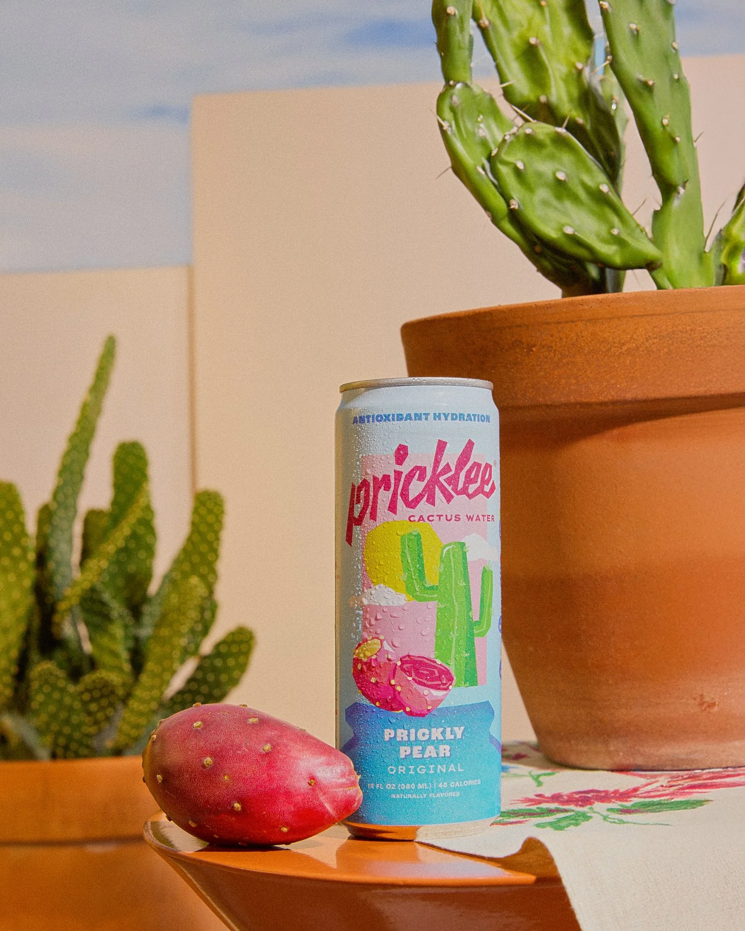 Pricklee-Test0465.jpg