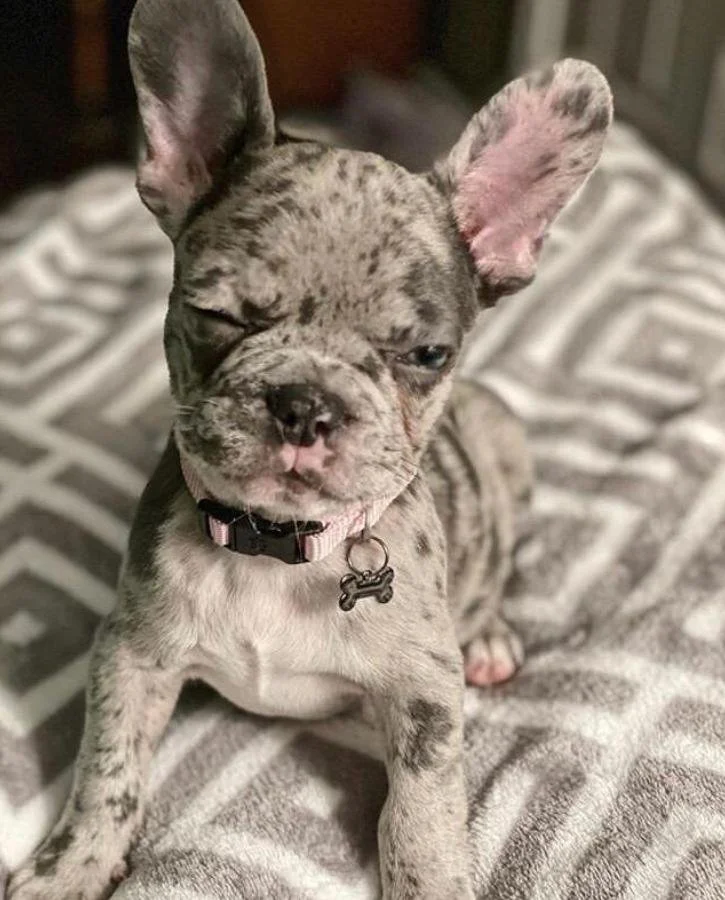 WhatsApp Image 2020-10-24 at 08.24.37.jpeg