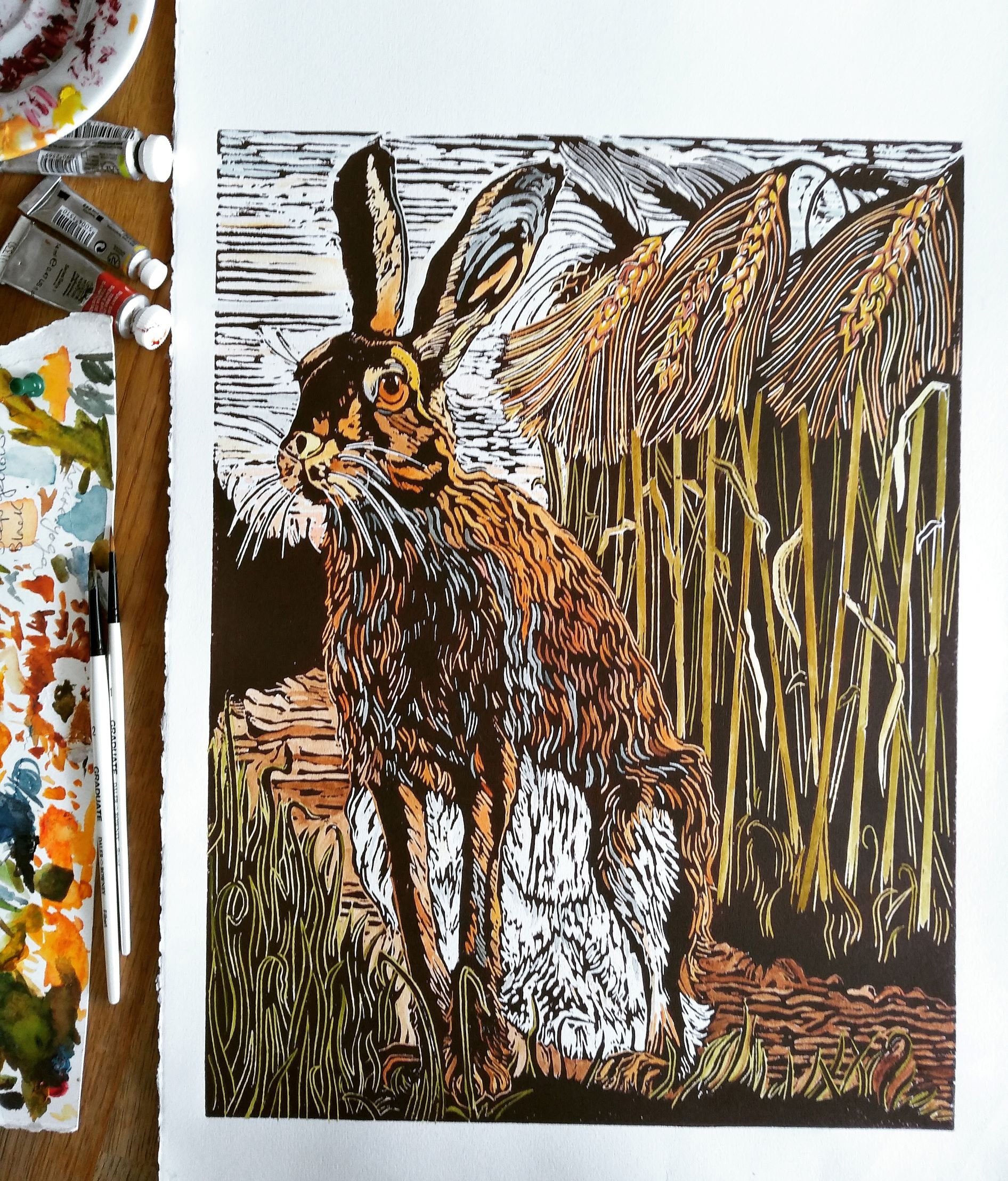 Hare with colour pallet