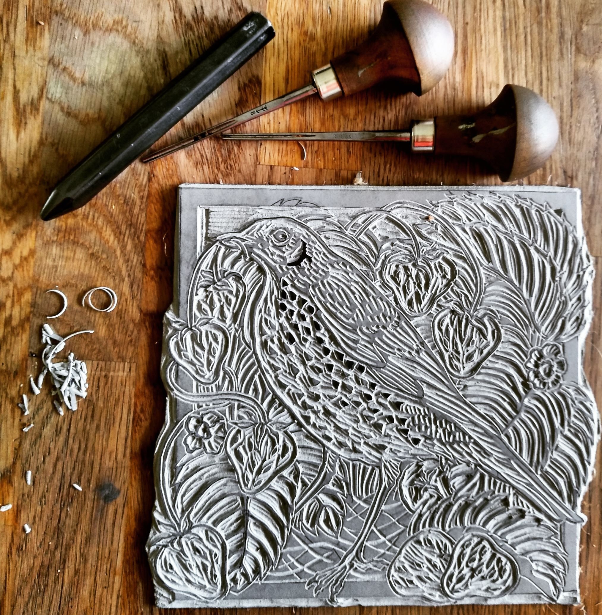 Thrush linocut with carving tools