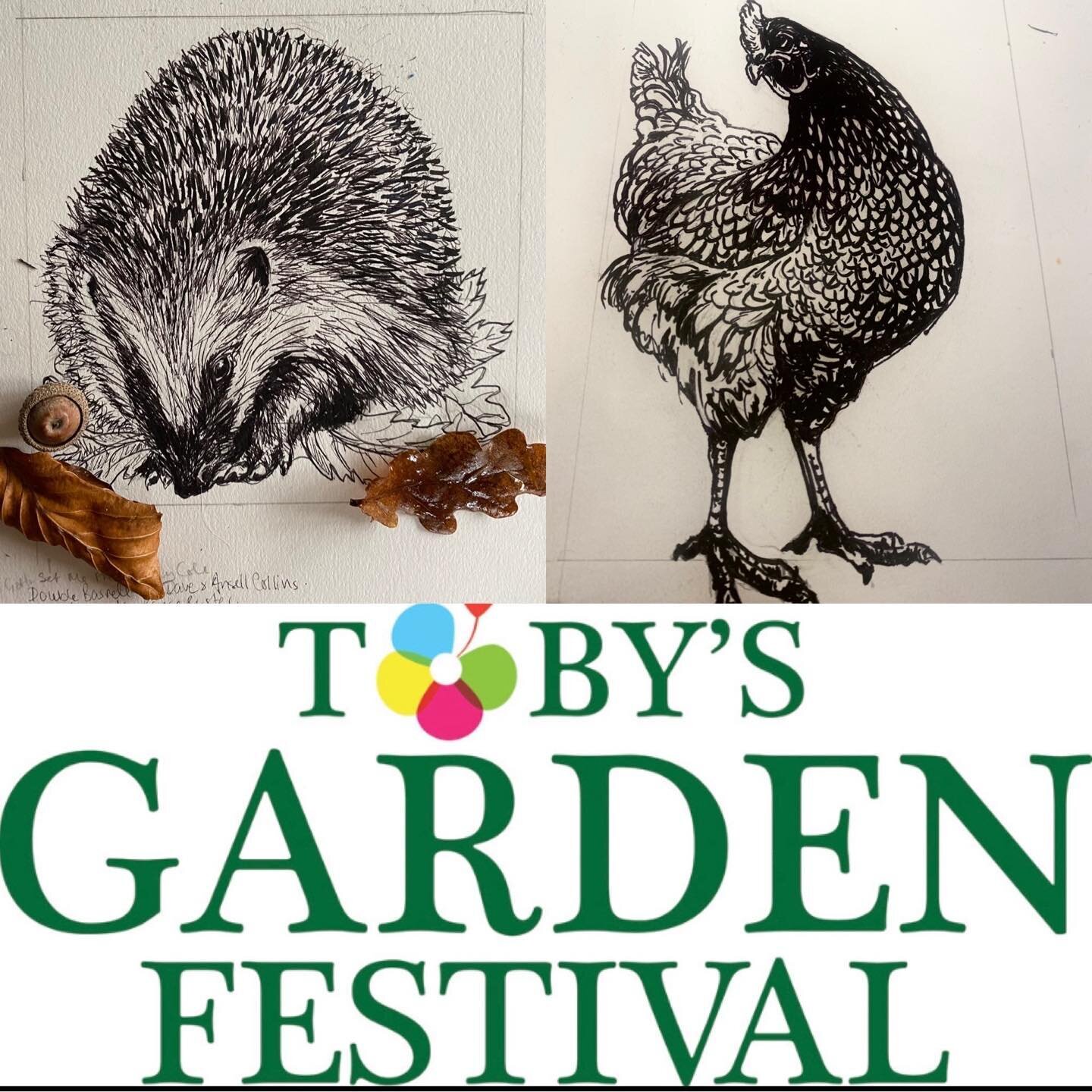 Day 1 of the Toby Buckland Garden Festival. I&rsquo;m in the Artisan Barn, surrounded by plants and crafts, listening to live music, trying to resist the smell of bacon baps,  and people watching! Open till 5 today and 10-5pm tomorrow. #tobybucklandg