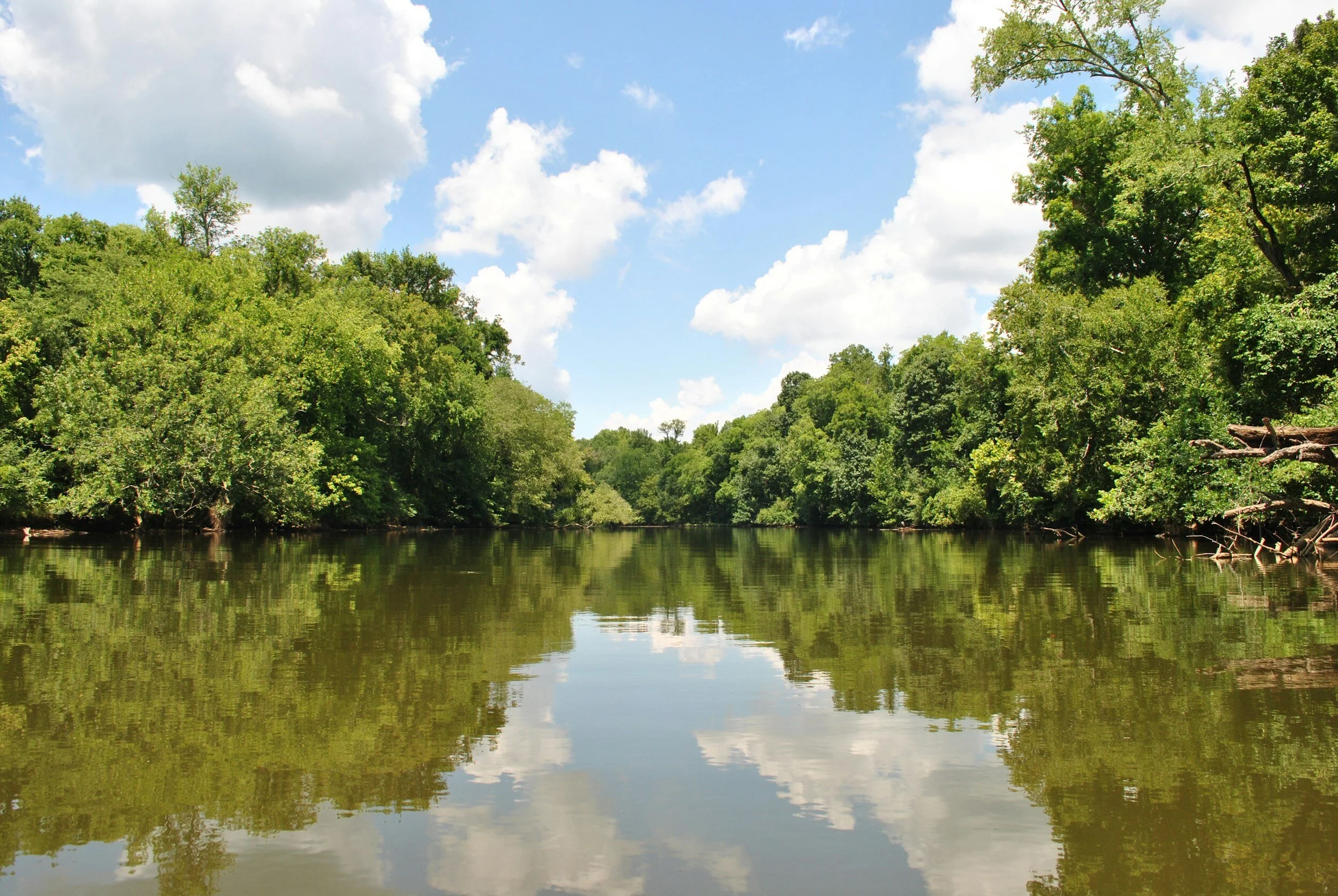 The Great Outdoors: Exploring Parks and Recreational Activities in Cape Fear