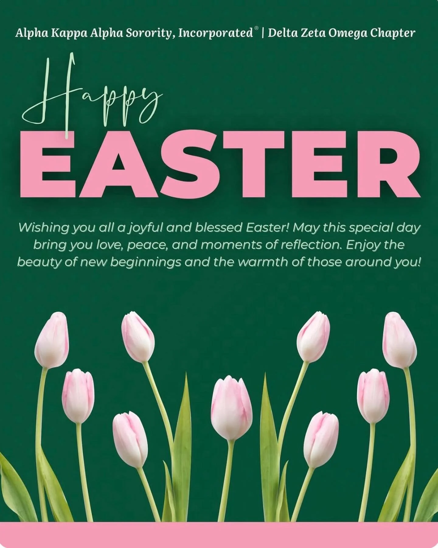 Wishing you a joyful and blessed Easter from the ladies of Alpha Kappa Alpha Sorority, Inc.&reg; Delta Zeta Omega Chapter. May this season of renewal bring peace, hope, and love to all. 💕🤍🌱