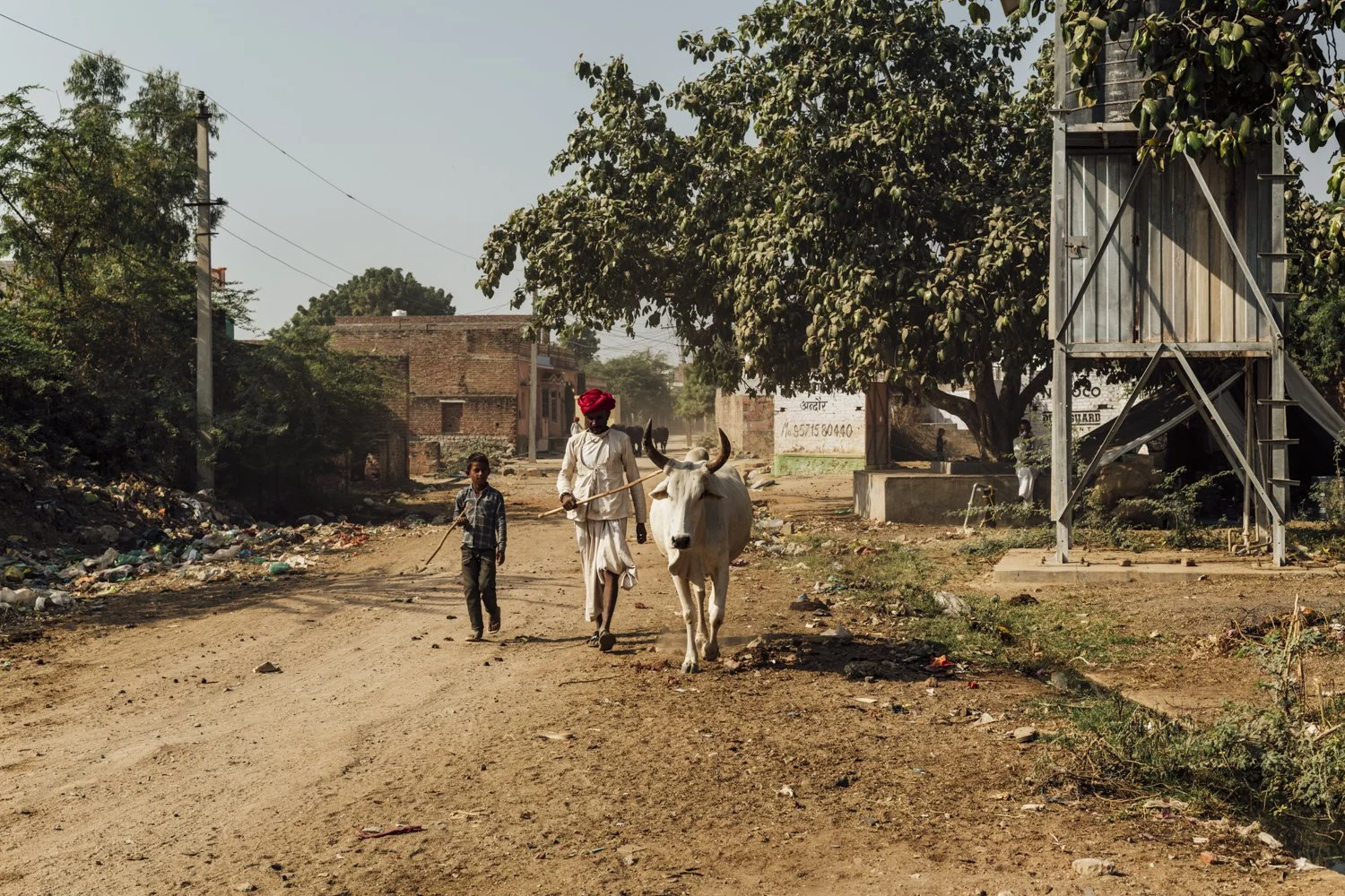 DSC_6019-Edit.jpg