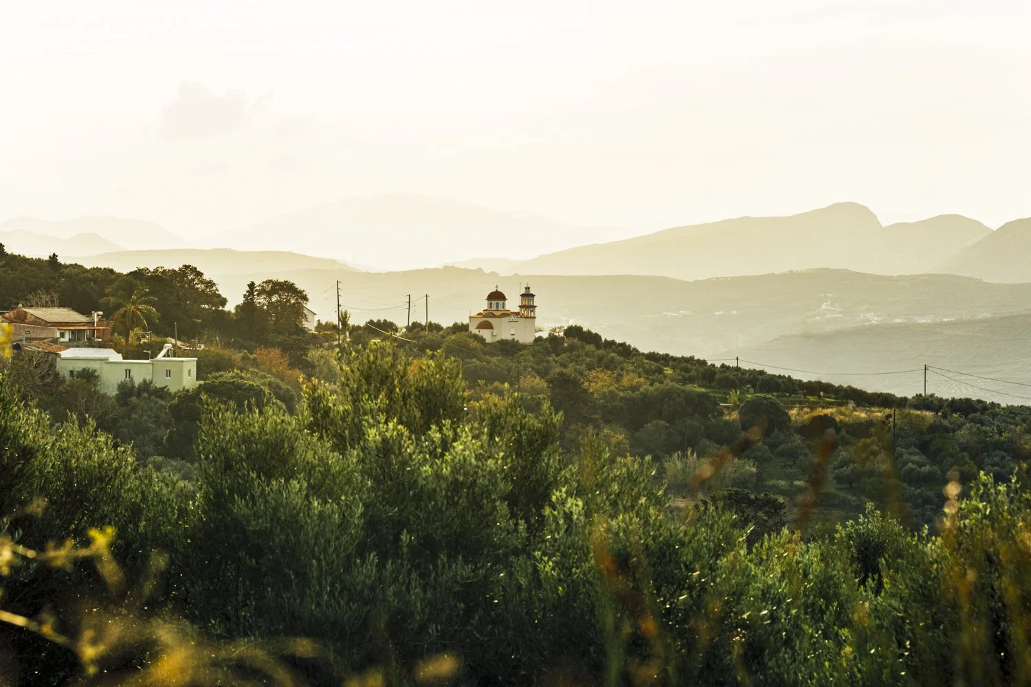 DSC_0381-Edit.jpg