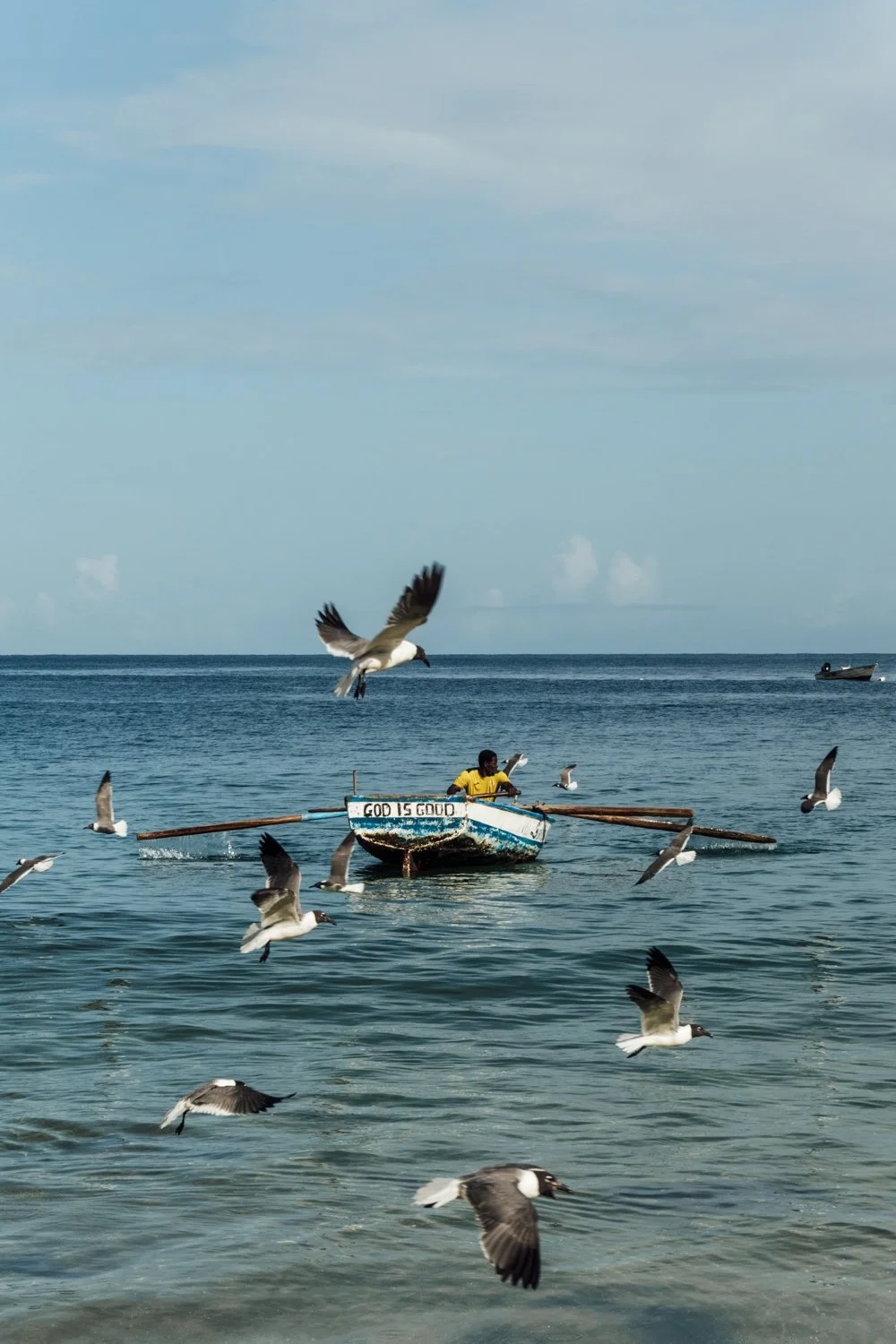 DSC_8420-Edit.jpg