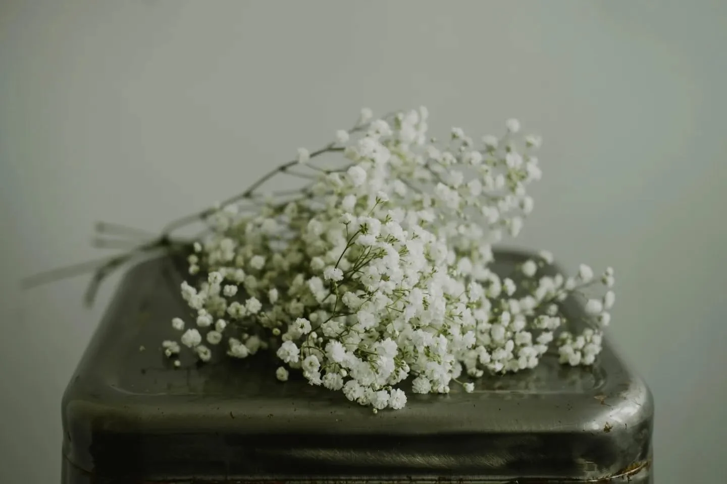 Sooooo did anyone tell you that you look cute today or do I have to do it??