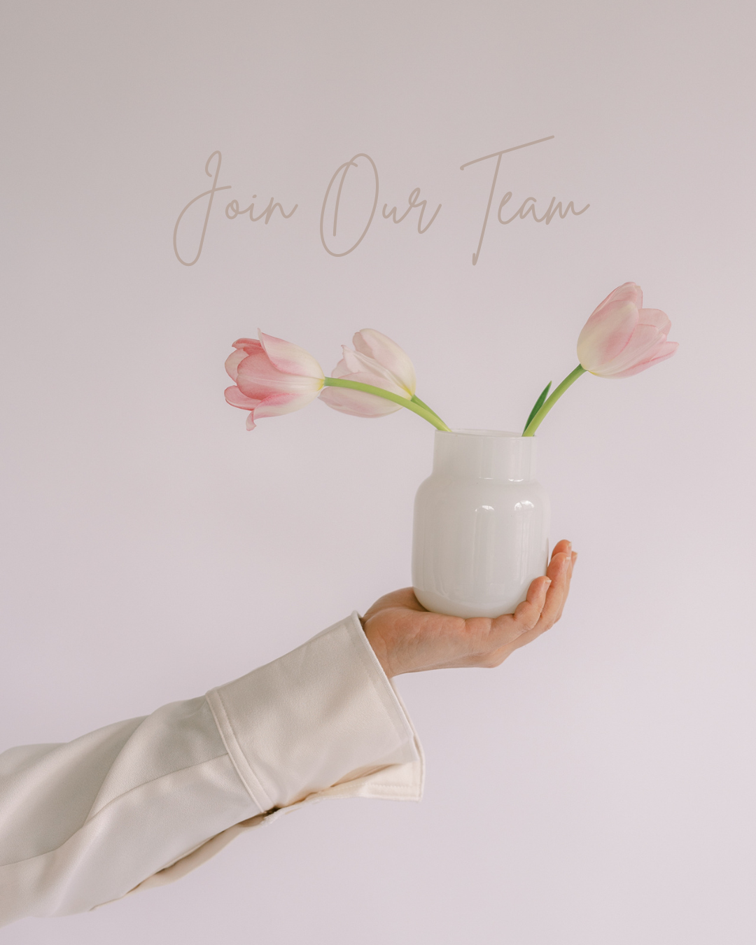 We’re Expanding Our Team at Whole Health