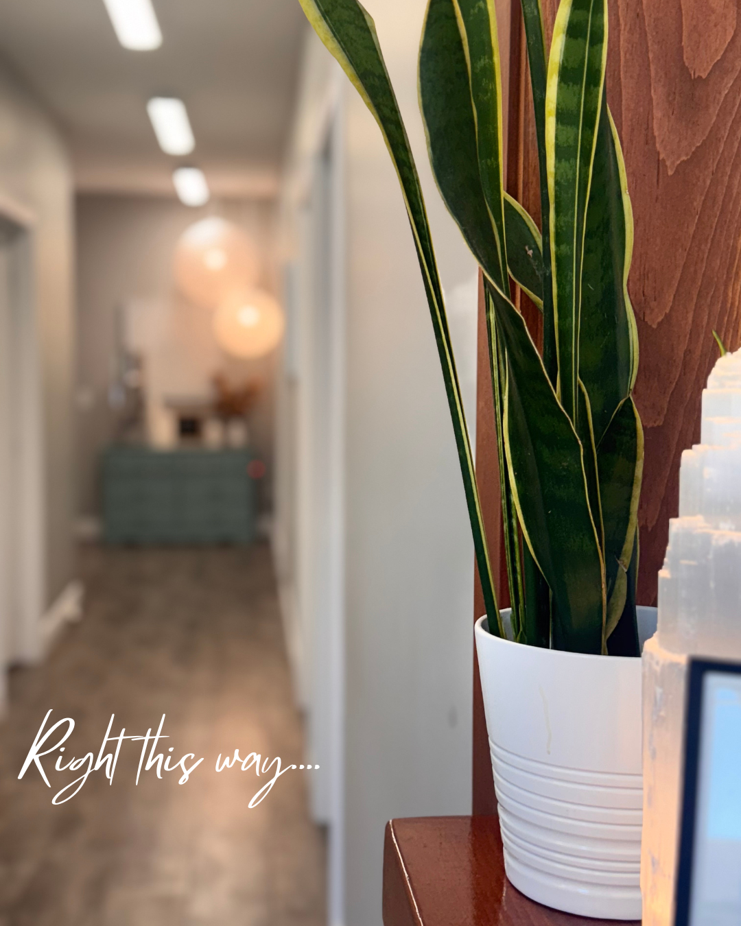 Why Your Nervous System Might Be the Missing Link in Your Health