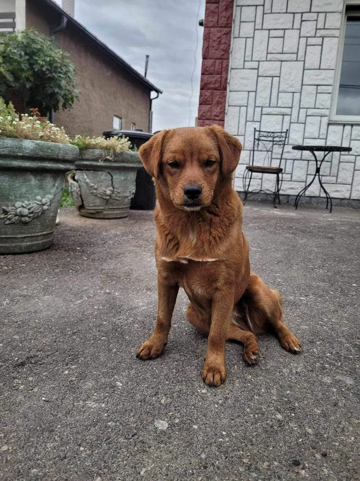 Mara (Geadopteerd)