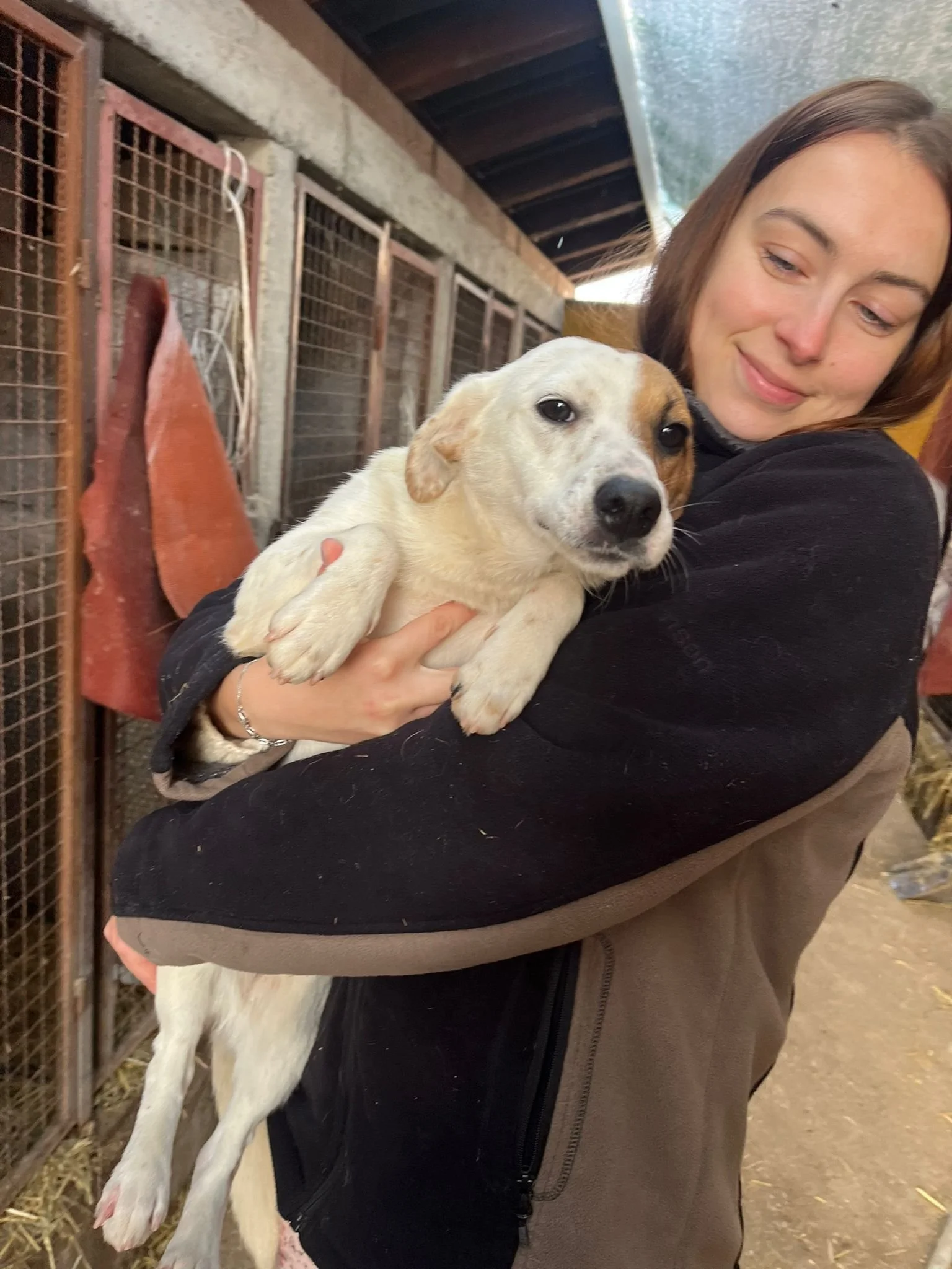 WhatsApp Image 2024-01-11 at 22.02.07.jpeg