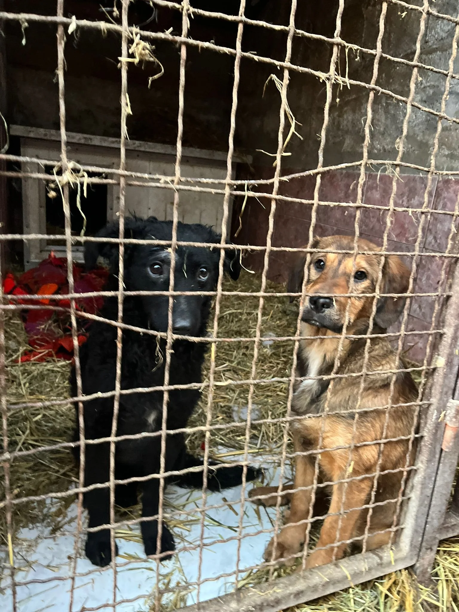 WhatsApp Image 2024-01-14 at 15.27.31.jpeg