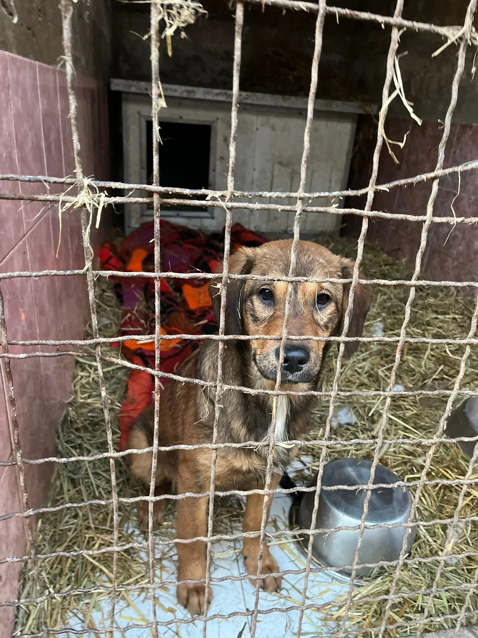 WhatsApp Image 2024-01-14 at 15.27.30.jpeg