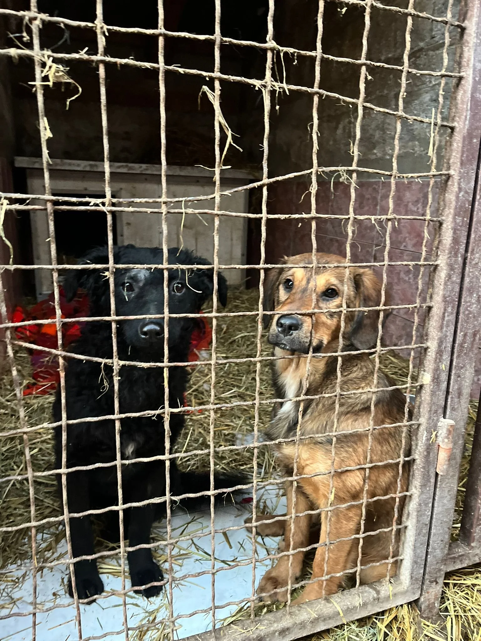 WhatsApp Image 2024-01-14 at 15.27.36.jpeg