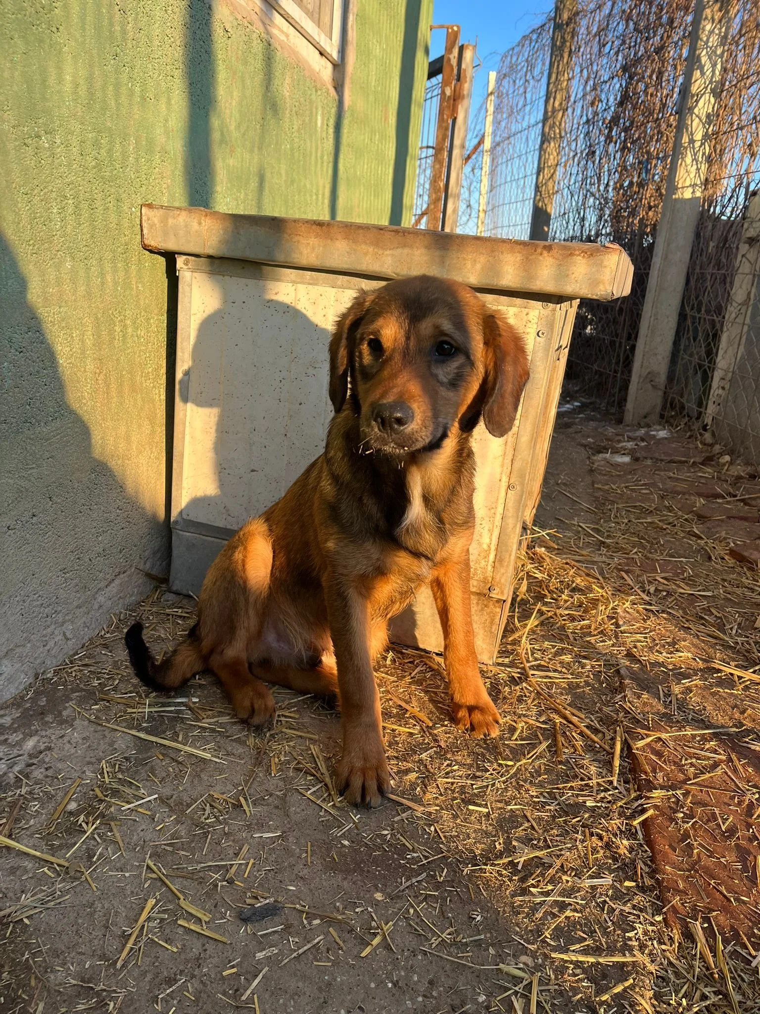 WhatsApp Image 2024-01-14 at 15.27.29.jpeg